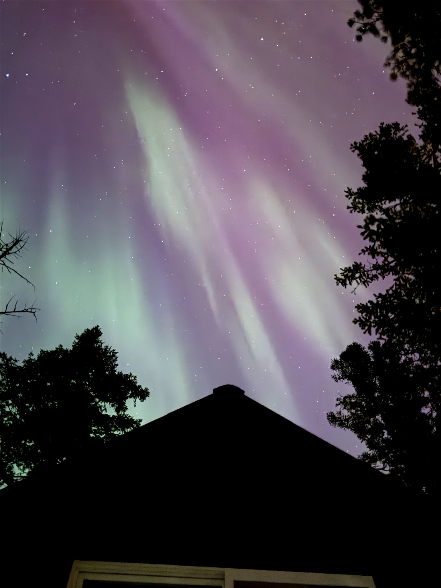  1844 Echo Cabin Loop - 物件實景