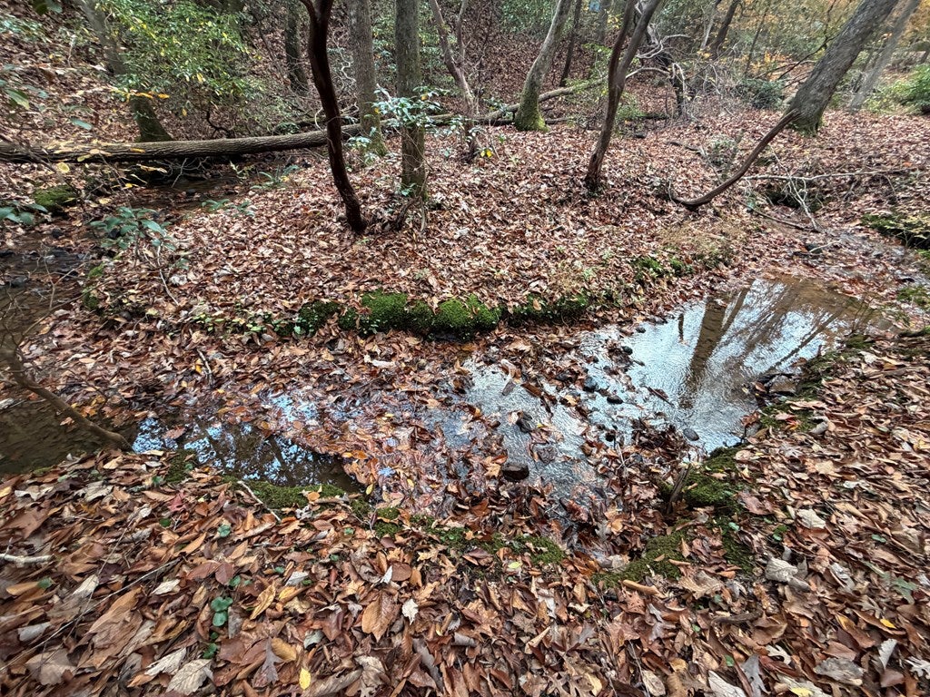 Blue Ridge, Georgia, 30513, United States, 3 Bedrooms Bedrooms, ,3 BathroomsBathrooms,Residential,For Sale,1995238