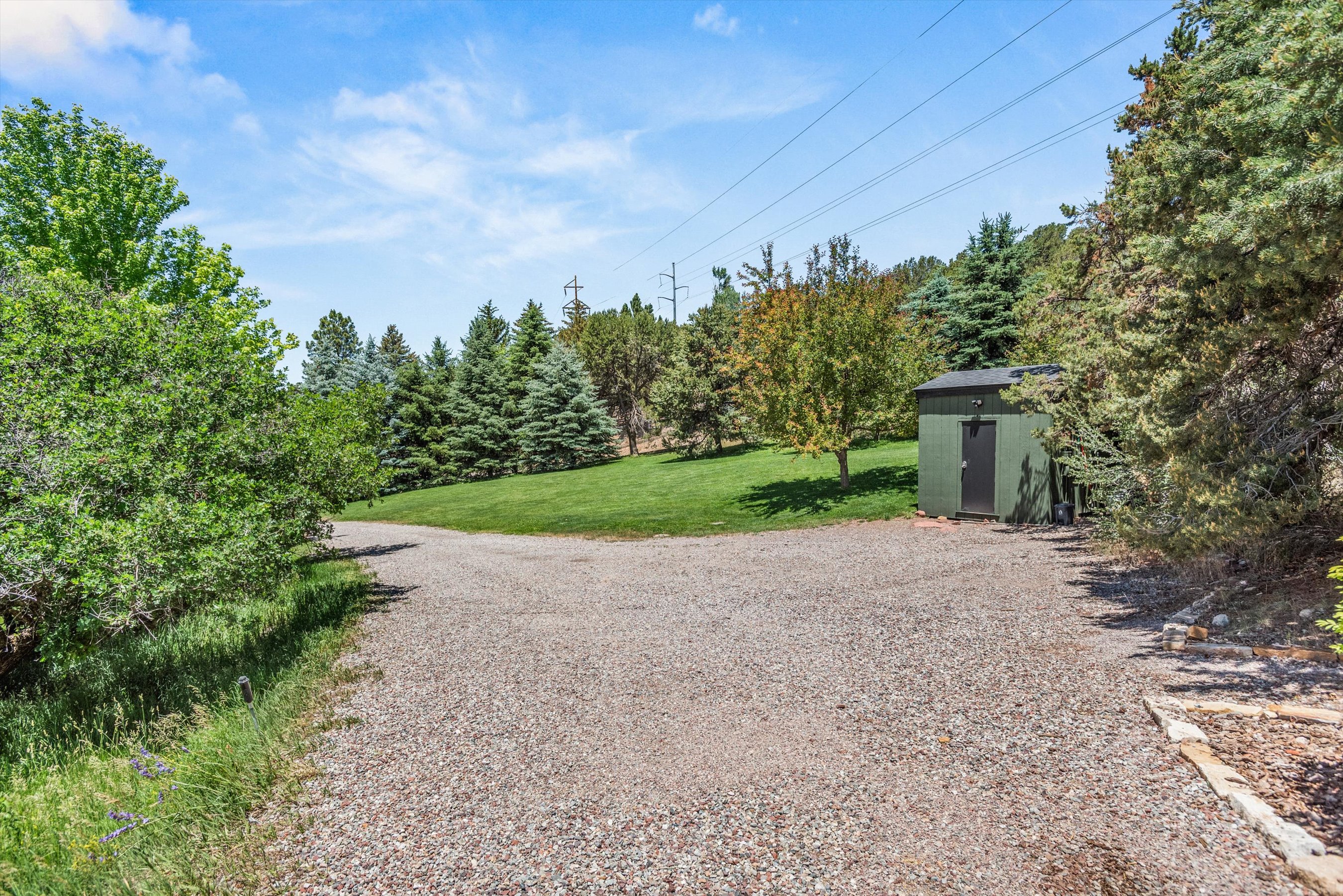  56 Booth Lane, Basalt, CO, 81621 - 物件實景