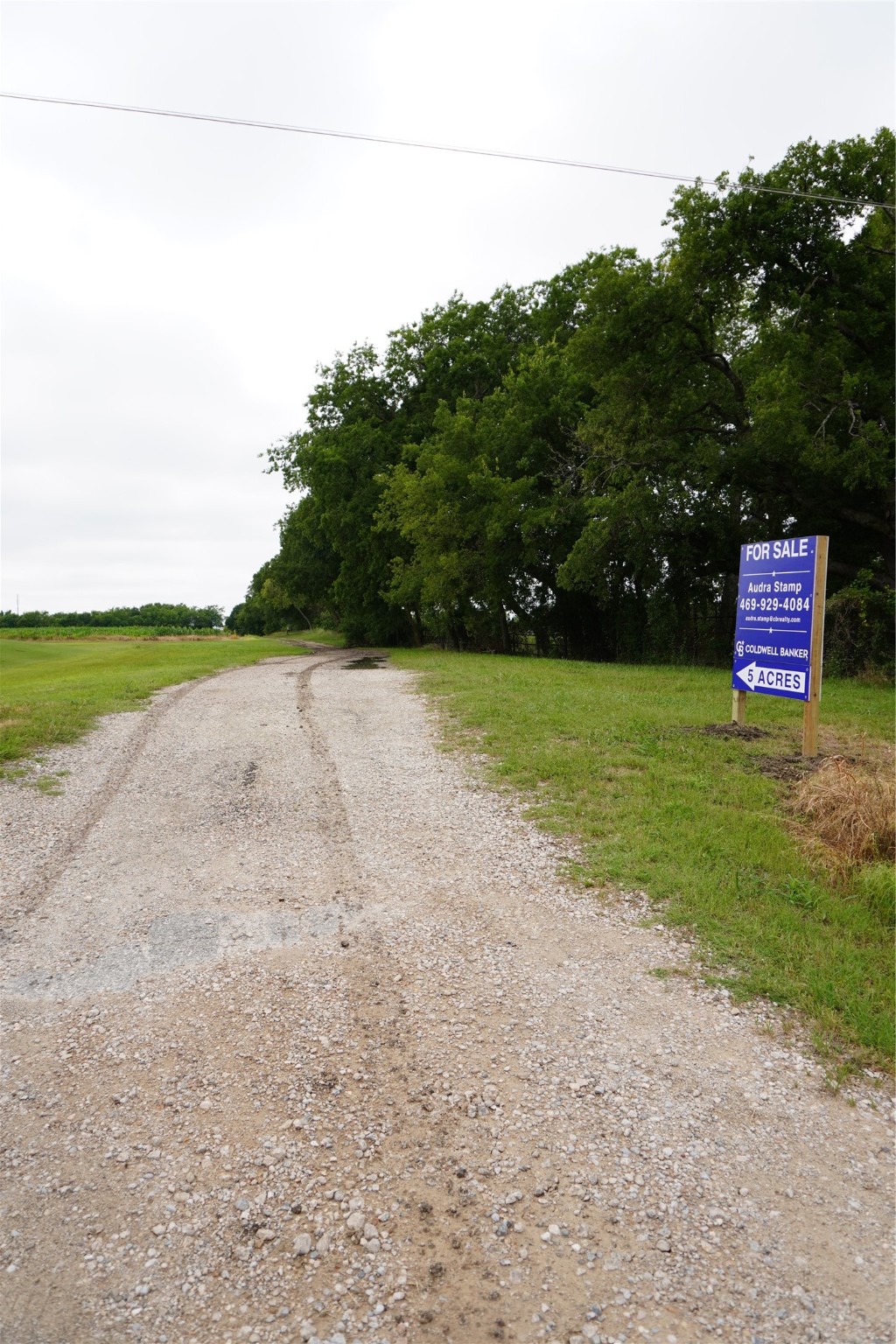 Van Alstyne, Texas, 75495, United States, ,Land,For Sale,1840644