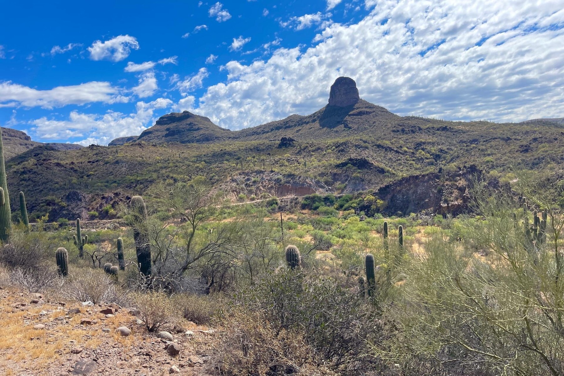  31900 S Tillys Trail¦Black Canyon City, AZ - 物件實景