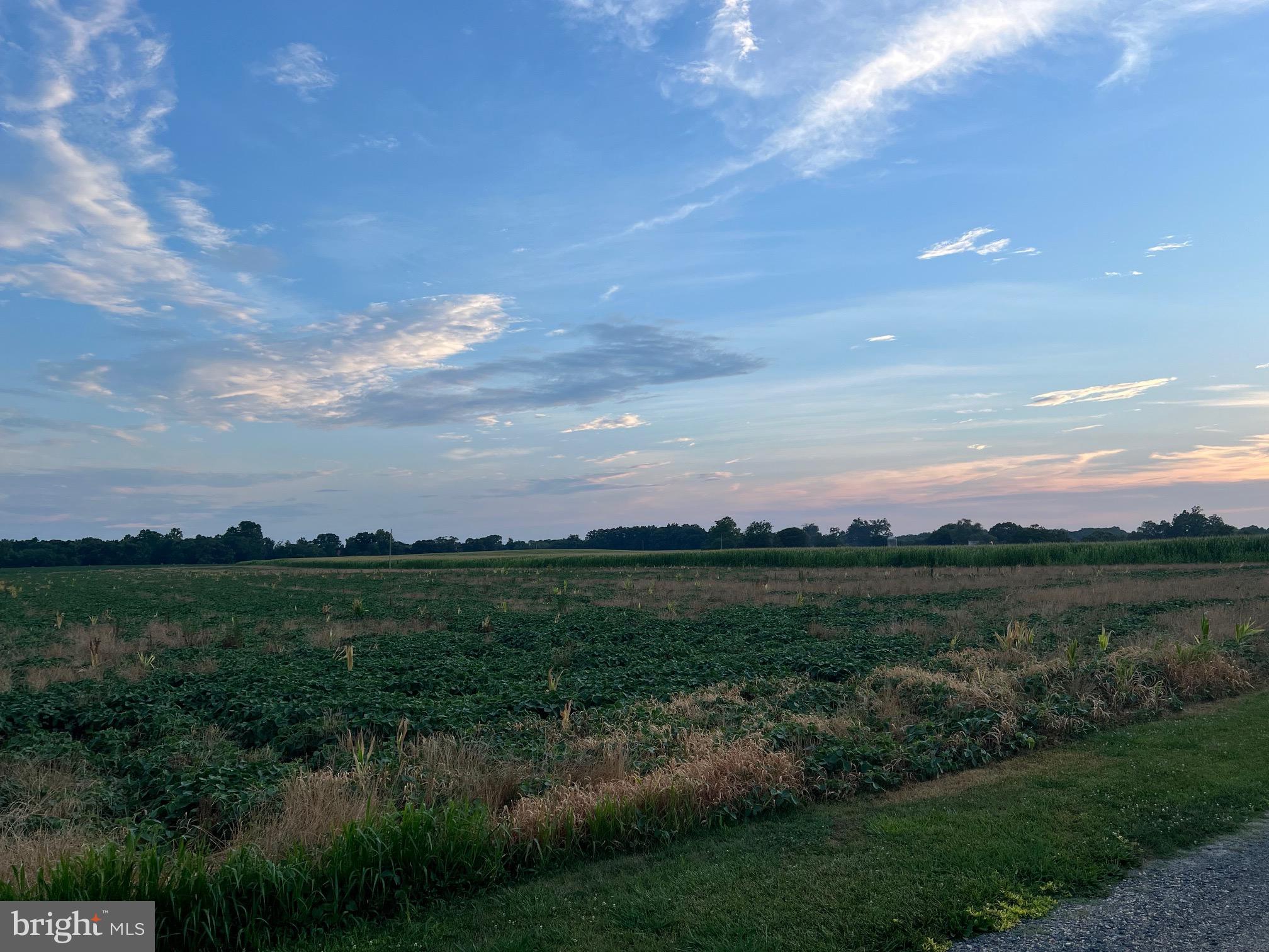 Leonardtown, Maryland, 20650, United States, ,Residential,For Sale,1977762