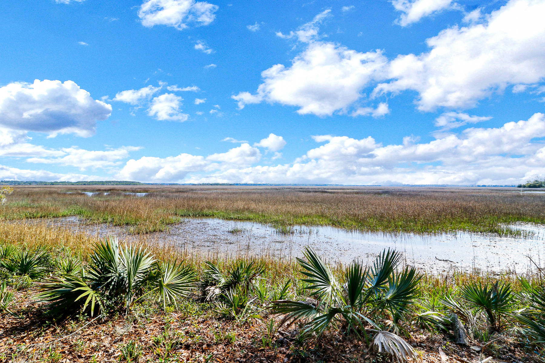  535 Broad River Road, Ridgeland - 物件實景