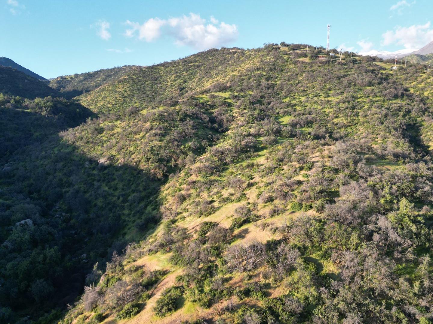 Lo Barnechea, Chile, ,Land,For Sale,1926302