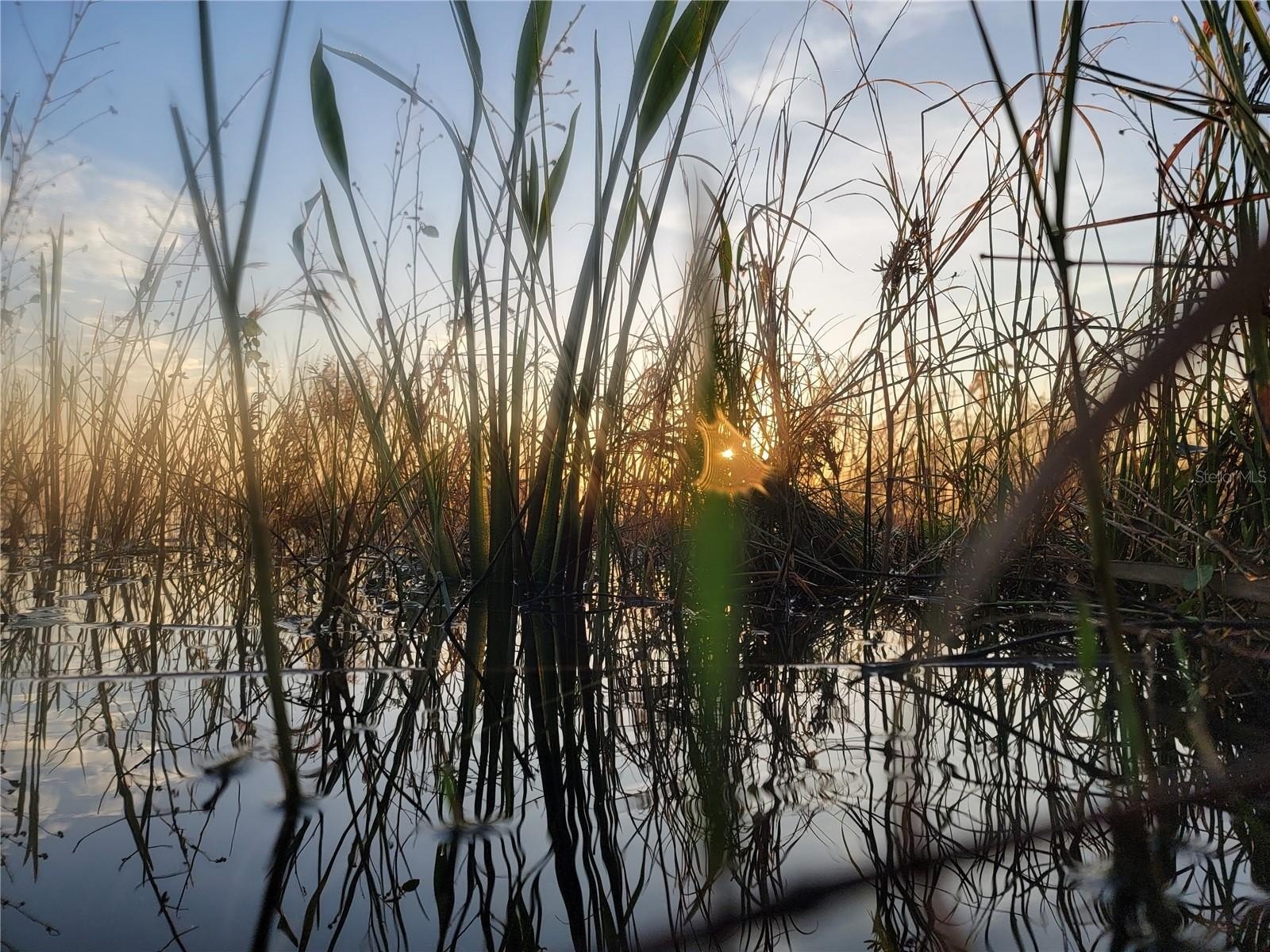 LAKE WALES, Florida, 33859, United States, ,Residential,For Sale,1945016