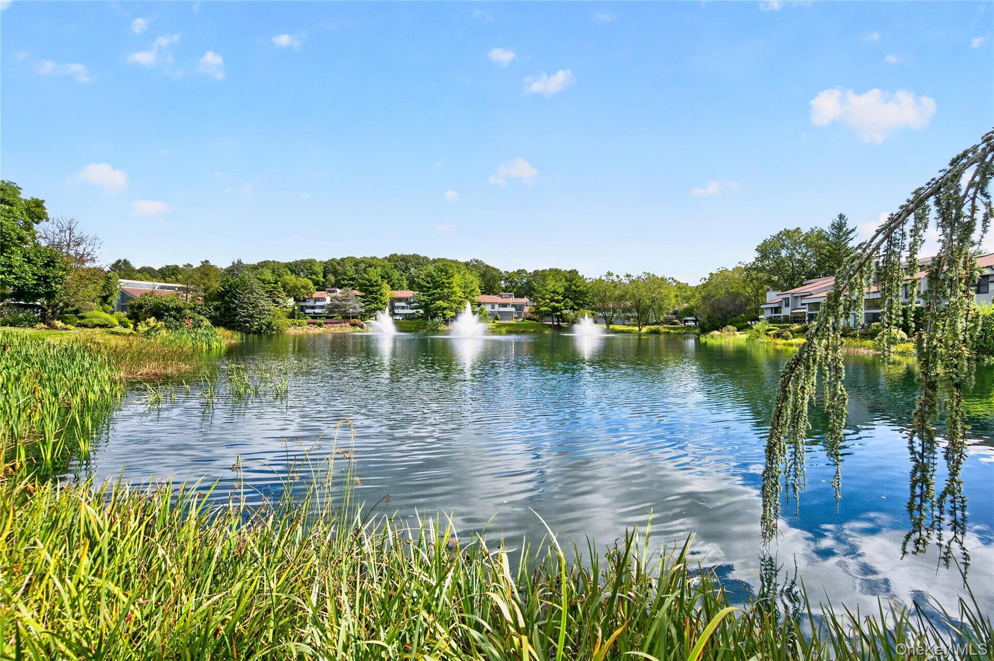  93 Eagle Chase, Woodbury, NY, 11797 - 物件實景