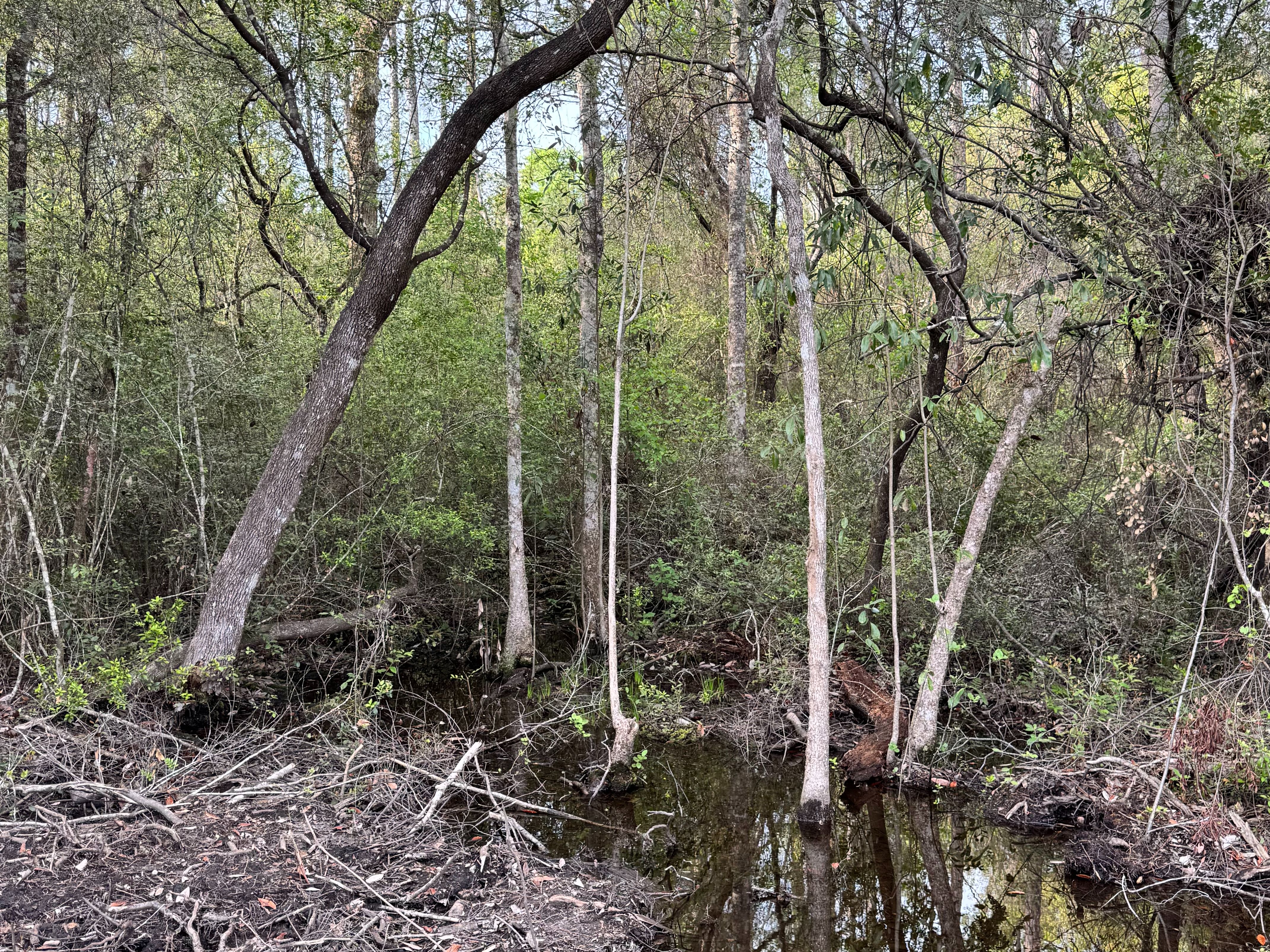  Creekside Estate Homesite  14.88 Acres - 物件實景