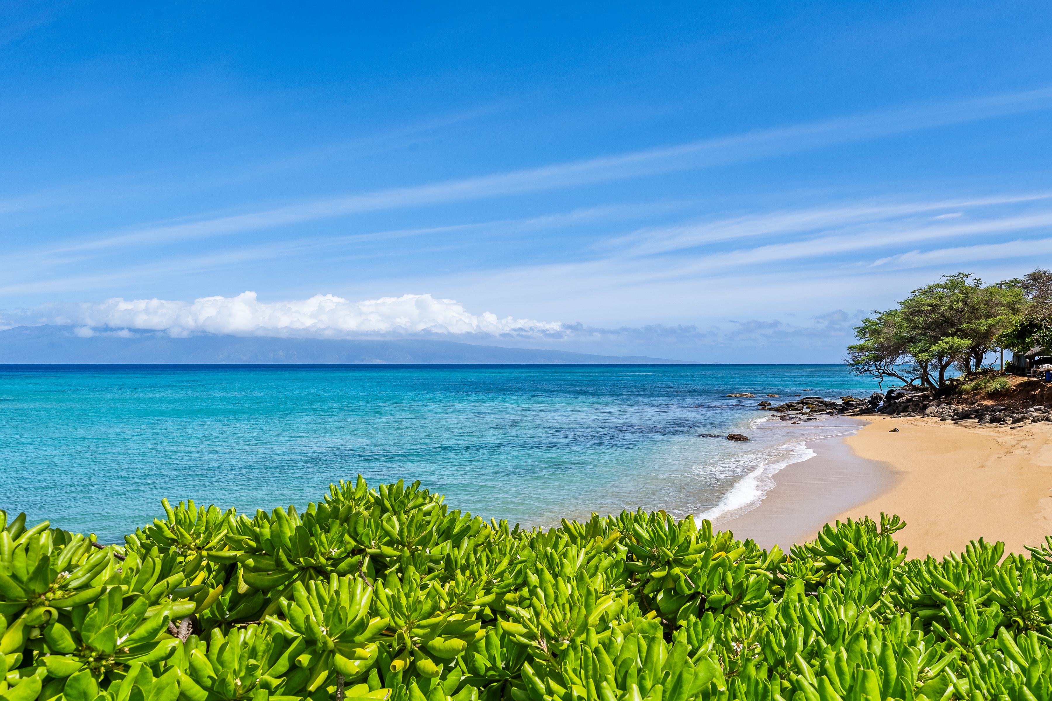  Premier Oceanfront Studio Closest to Ocean - 物件實景