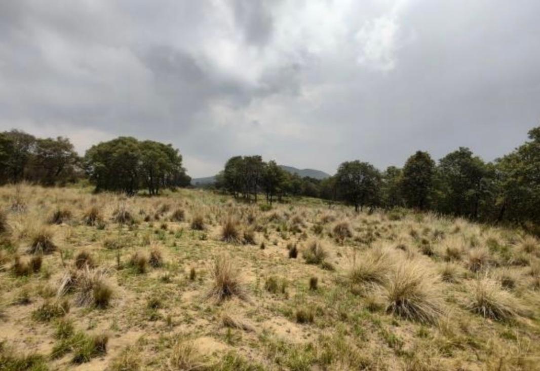 Camino sin nombre, Ayapango, Estado de México, 56760, Mexico, 1 Bedroom Bedrooms, ,Residential,For Sale,Camino sin nombre,1616925