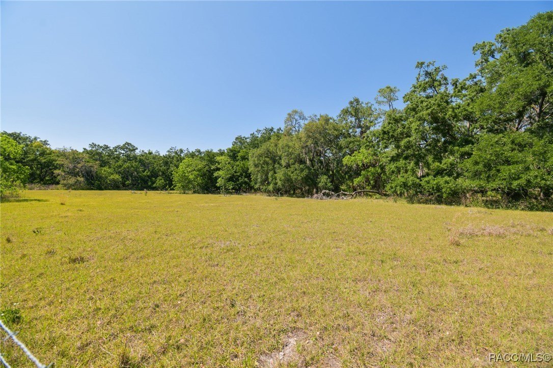 Brandon, Florida, 33511, United States, ,Land,For Sale,1981664