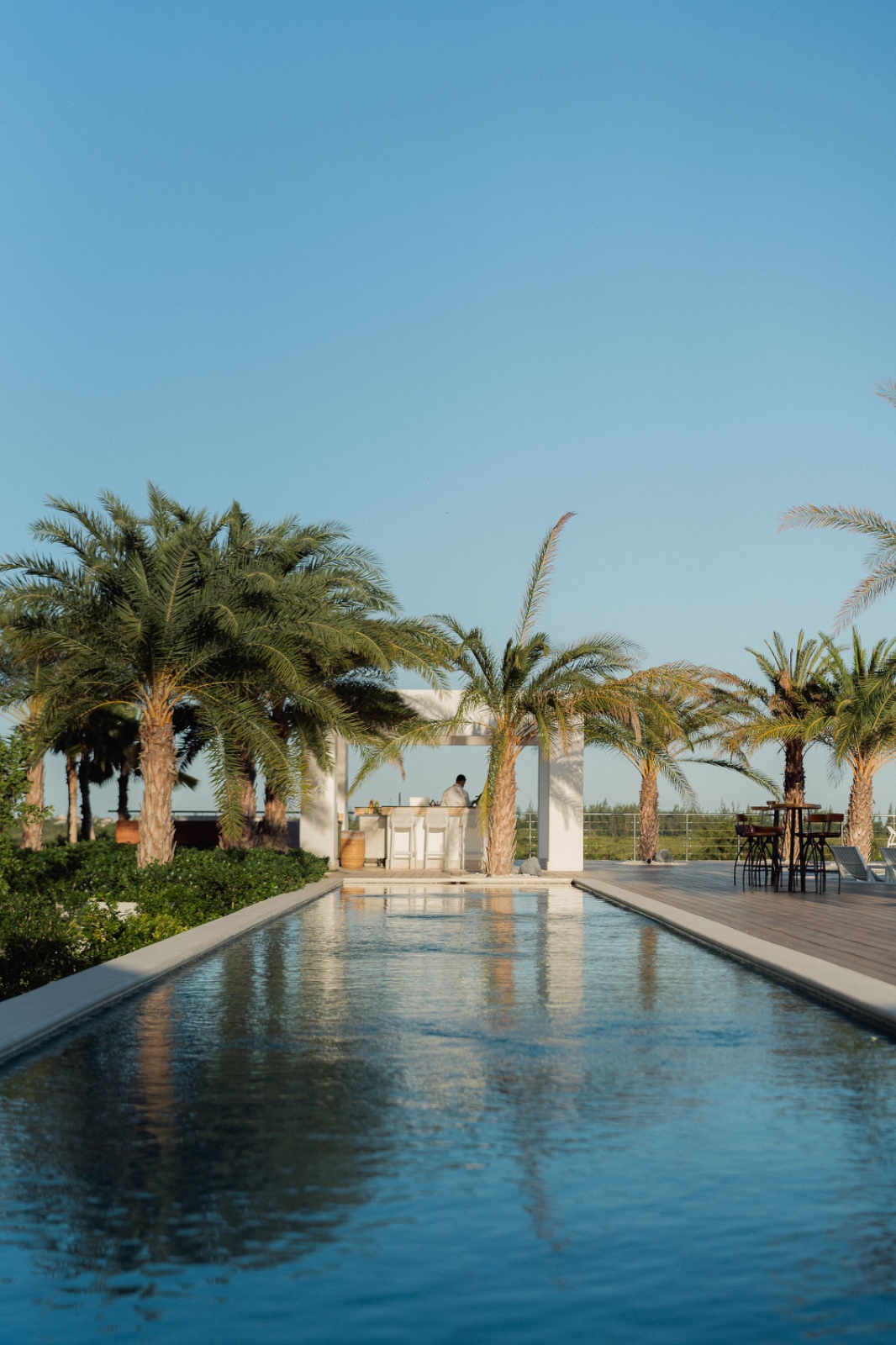 Cap Cana, DO, 1 Bedroom Bedrooms, ,2 BathroomsBathrooms,Residential,For Sale,1759996