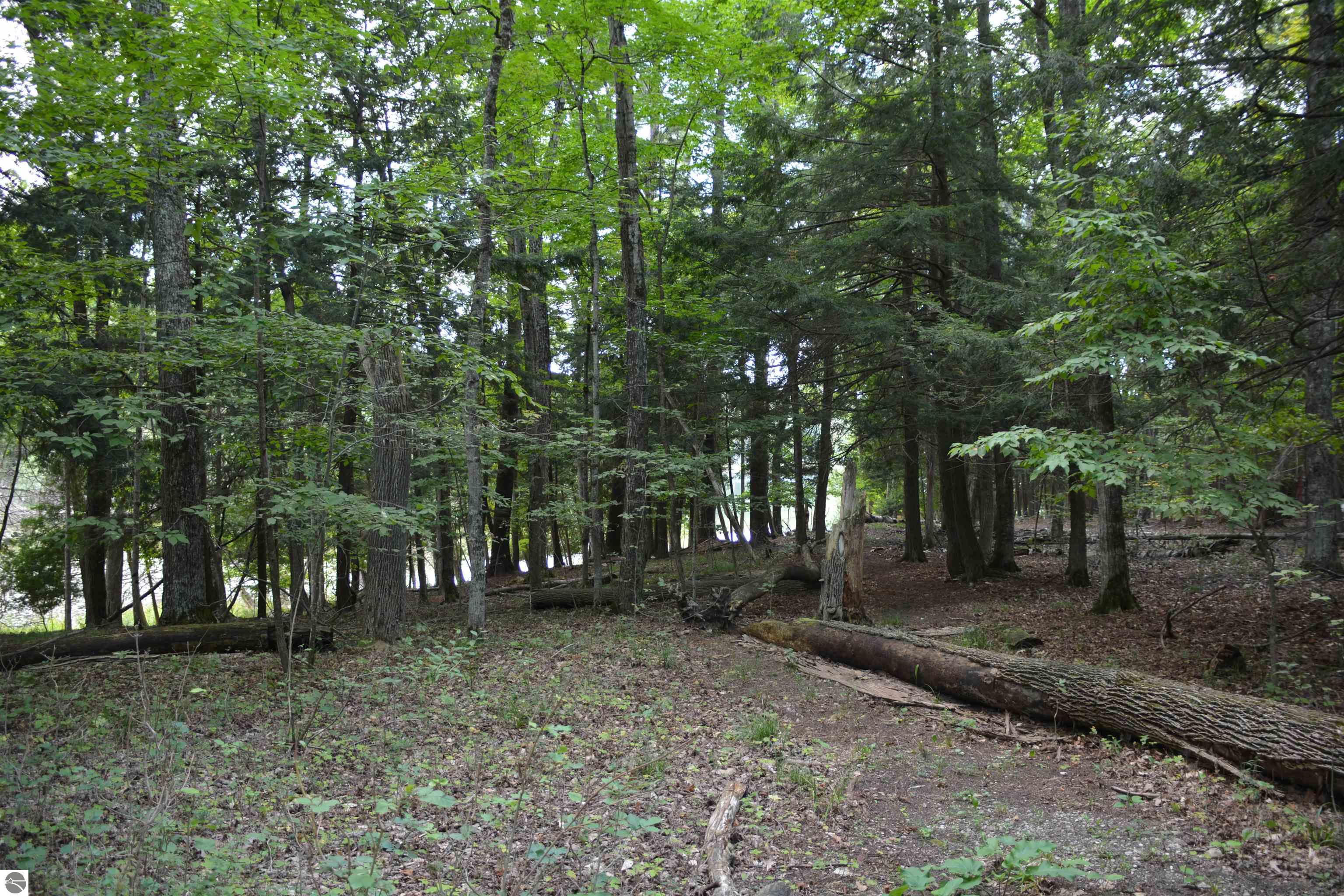 Lake Ann, Michigan, 49650, United States, 3 Bedrooms Bedrooms, ,1 BathroomBathrooms,Residential,For Sale,1941921