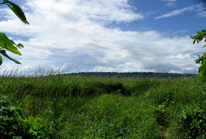 Cabarete, DO, ,Land,For Sale,1627535