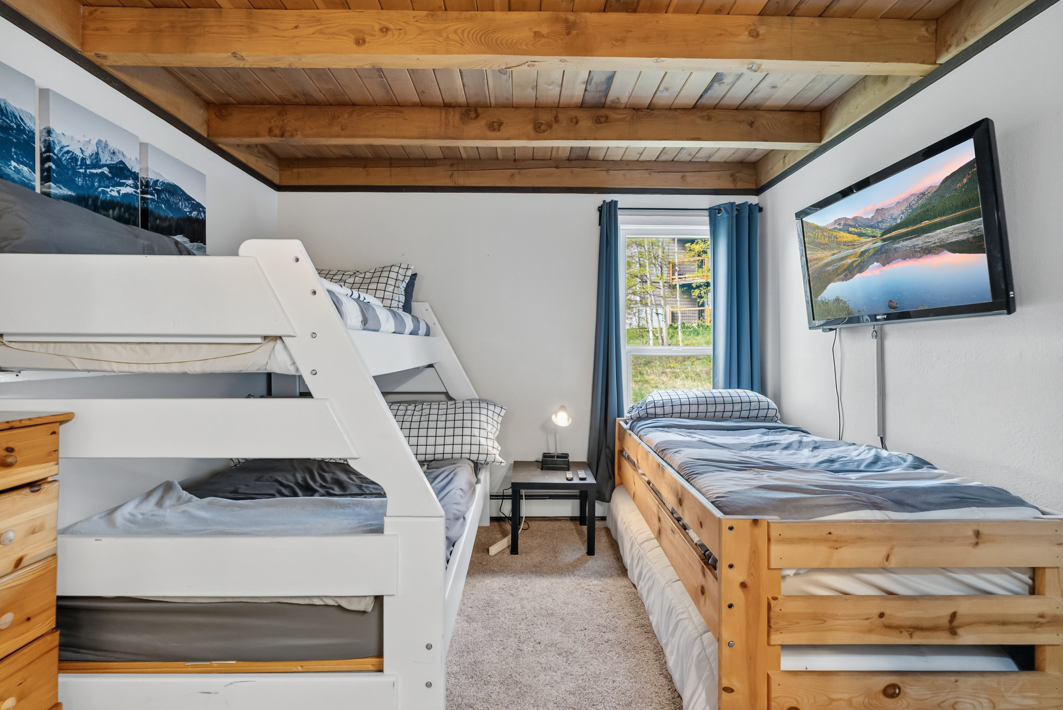  8100 Ryan Gulch Road, Wildernest, CO, 80498 - 物件實景