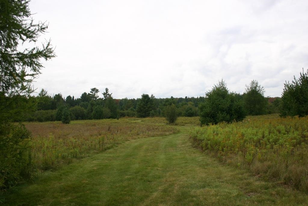Butternut, Wisconsin, 54514, United States, ,Residential,For Sale,1921385