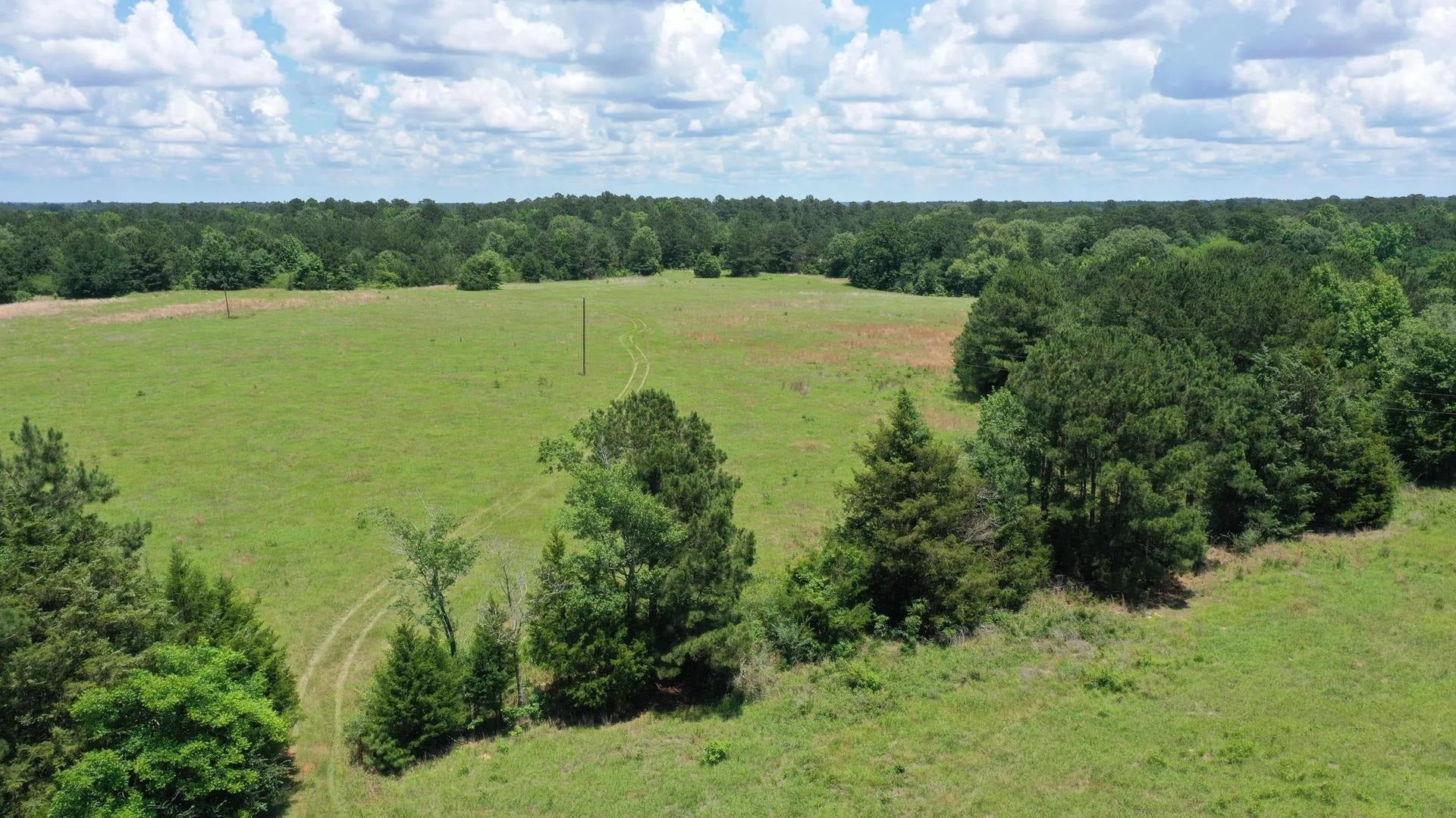 Douglassville, Texas, 75560, United States, ,Land,For Sale,2048006