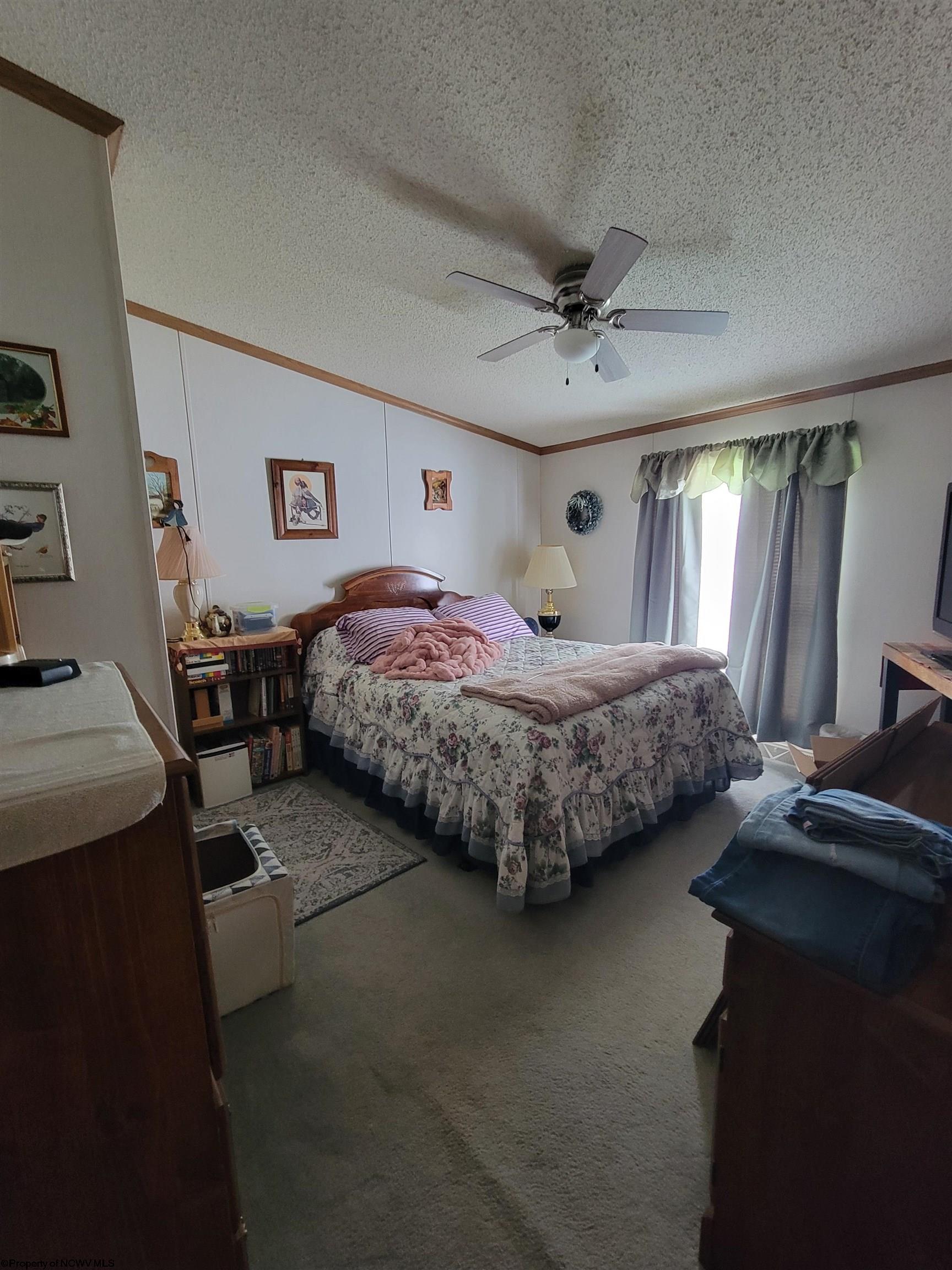 Gate Ln, Elkins, WV 26241 #1