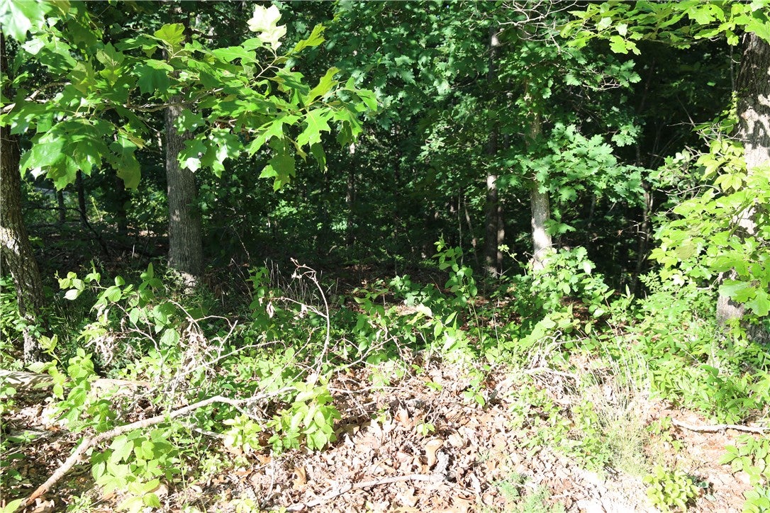 Kirkcudbright Ln, Bella Vista, AR 72715 #1