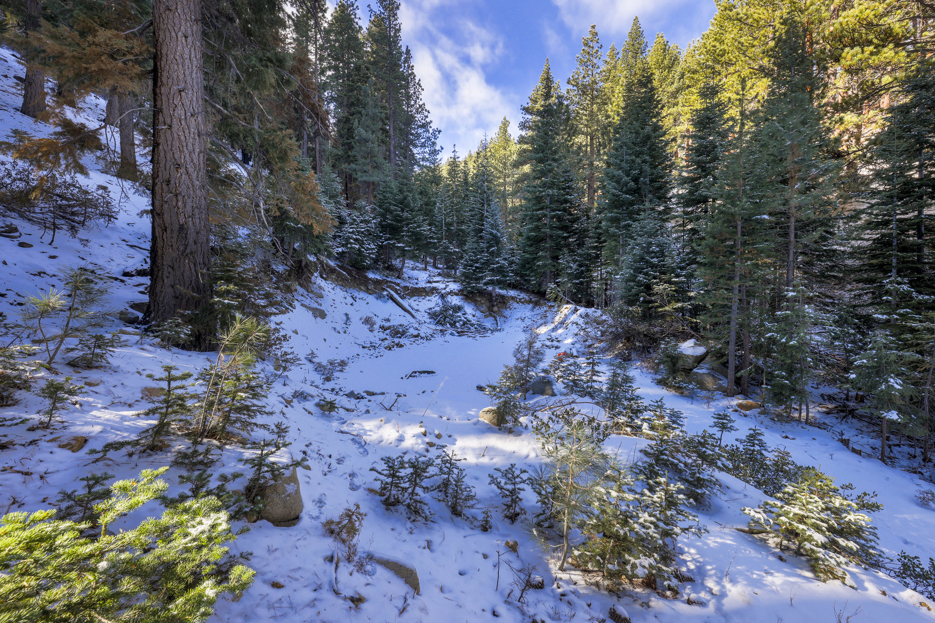  Sierra Sanctuary Lodge on 40 Acres - 物件實景