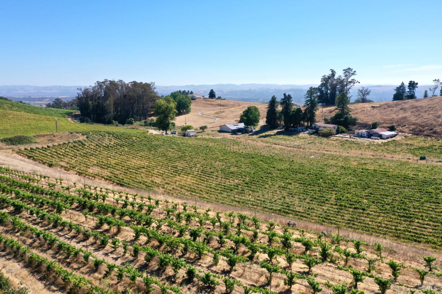 Santa Rosa, California, 95404, United States, 5 Bedrooms Bedrooms, ,4 BathroomsBathrooms,Residential,For Sale,1986461