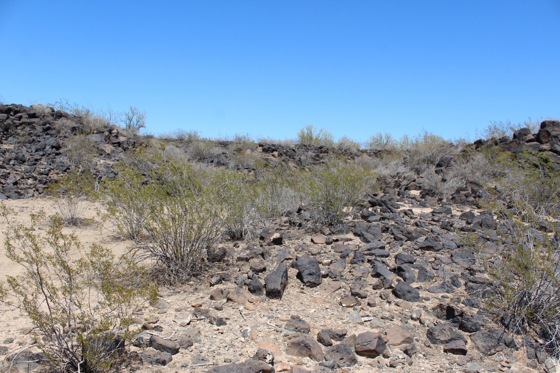  11 S 337th Avenue, Arlington, AZ, 85322 - 物件實景