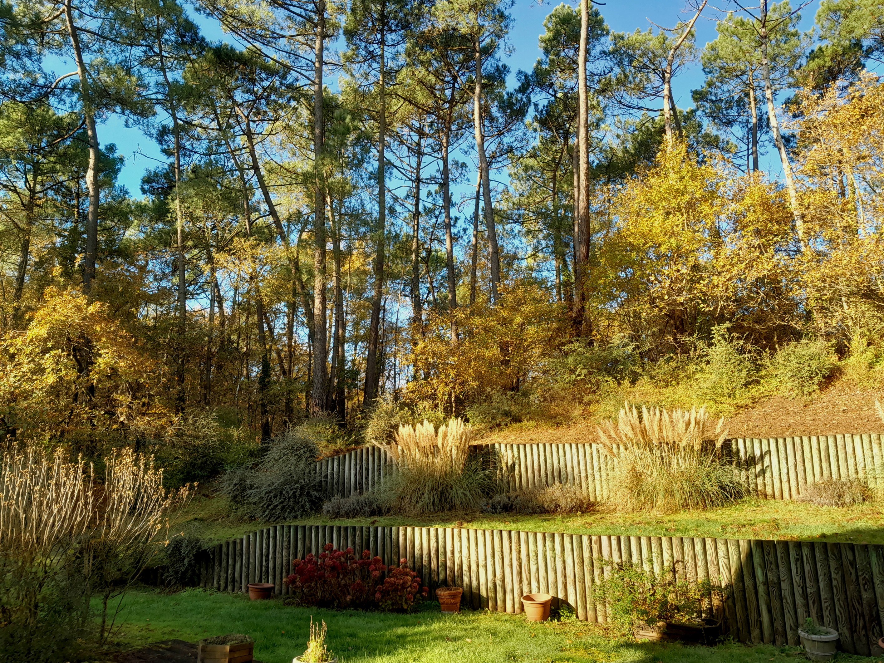 Le Touquet - Spacious family villa - 物件實景