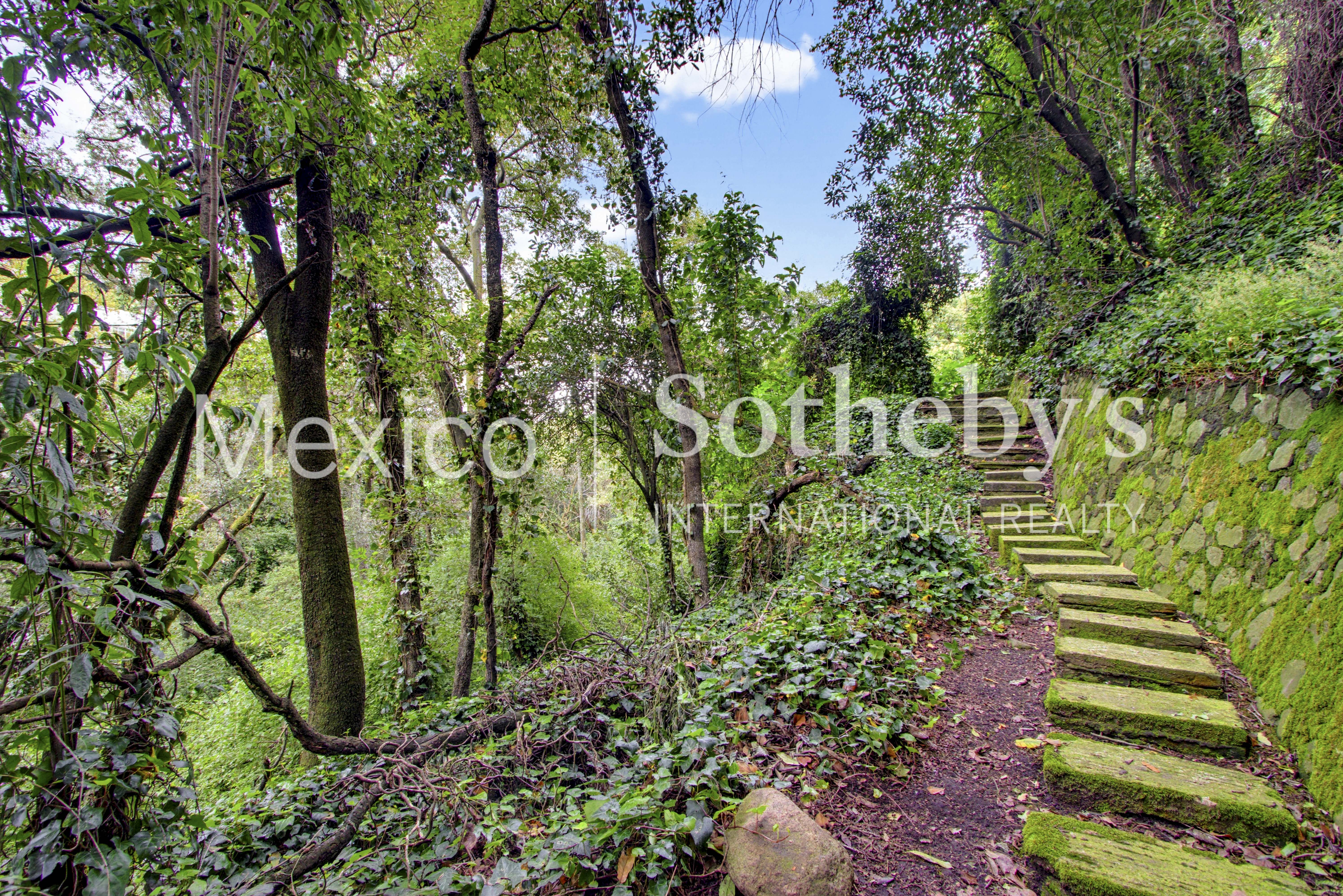  Terreno En Venta En Lomas De Vista Hermosa, Cuajimalpa - 物件實景