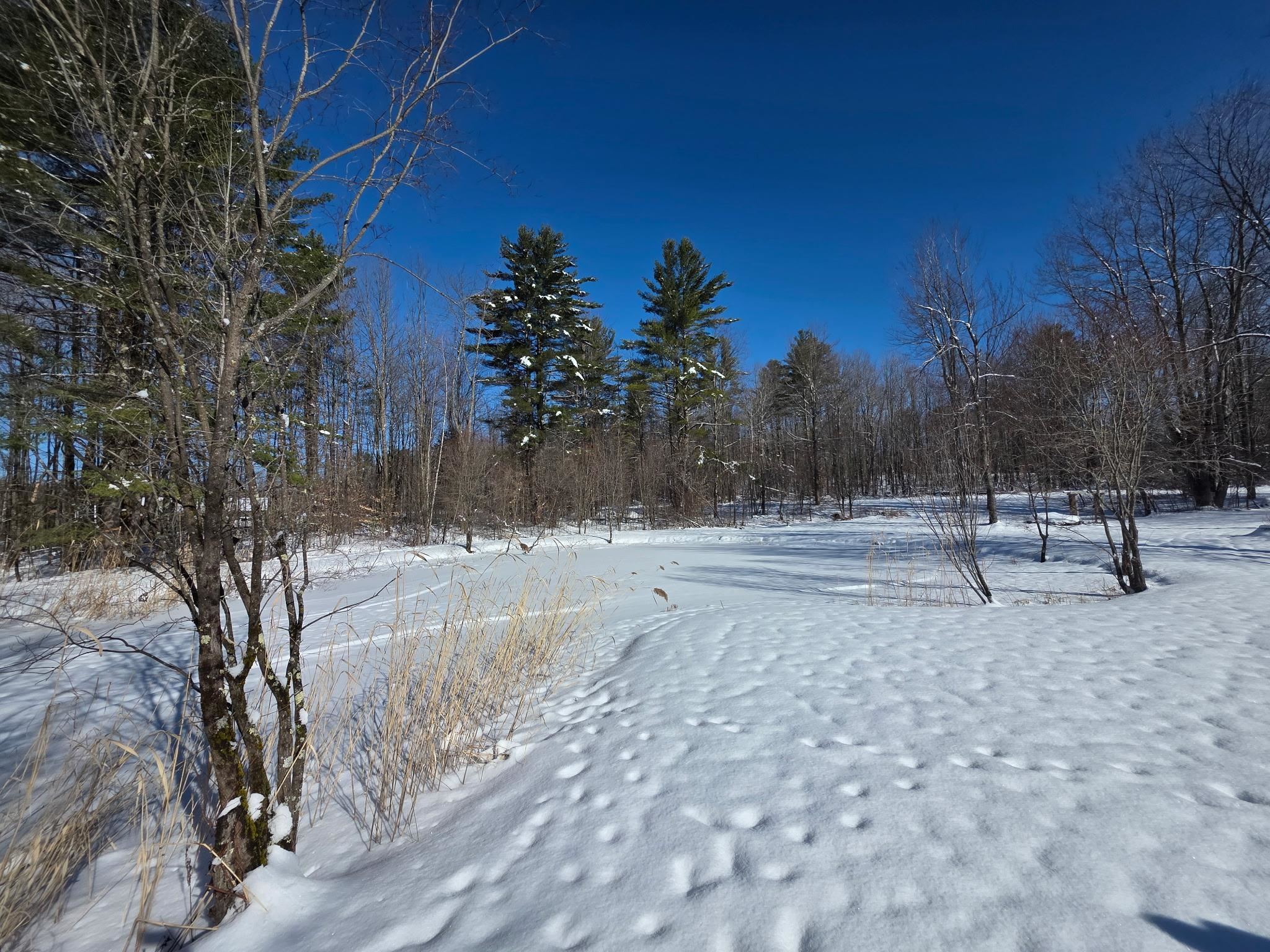Fairfax, Vermont, 05454, United States, 3 Bedrooms Bedrooms, ,2 BathroomsBathrooms,Residential,For Sale,2031204