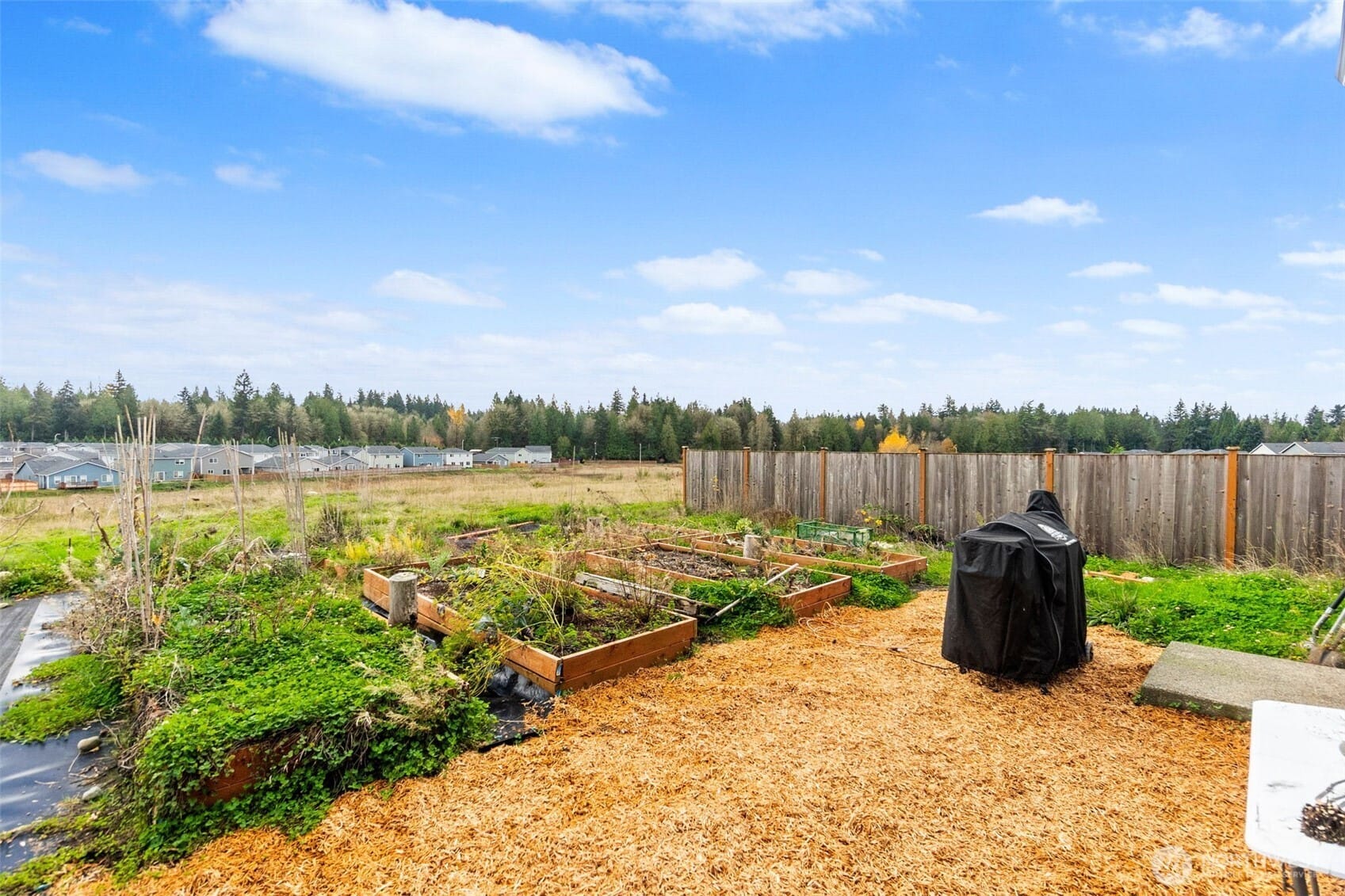 Olympia, Washington, 98501, United States, 4 Bedrooms Bedrooms, ,3 BathroomsBathrooms,Residential,For Sale,1997535