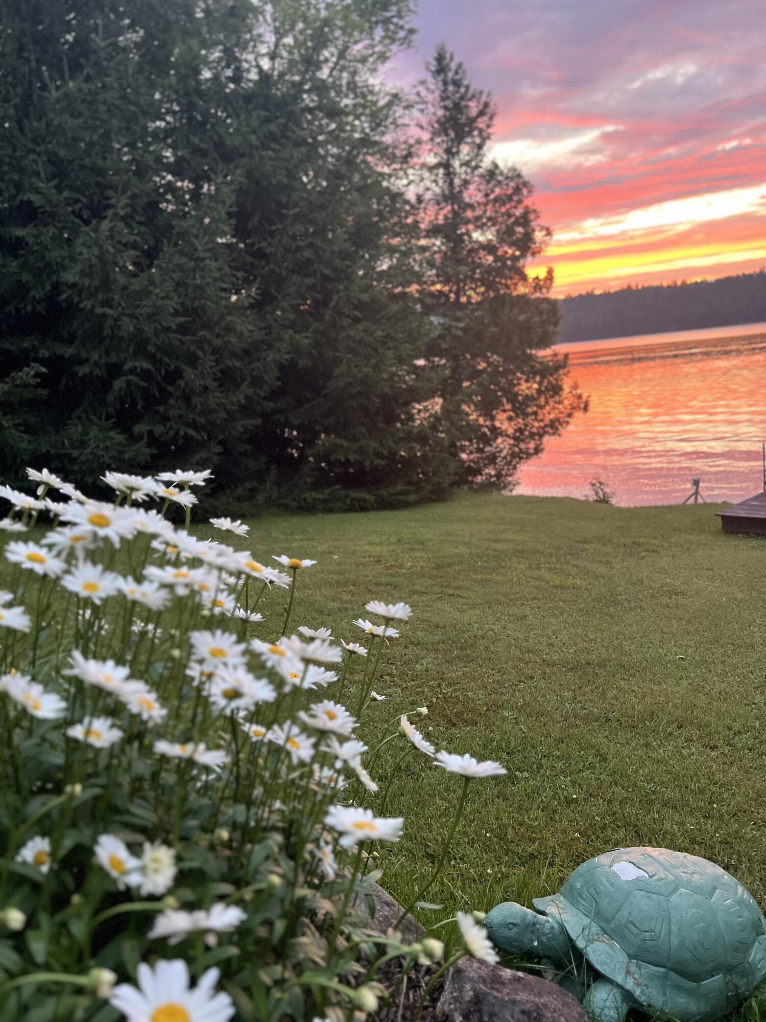 Black Brook, New York, 12912, United States, 4 Bedrooms Bedrooms, ,3 BathroomsBathrooms,Residential,For Sale,1830391