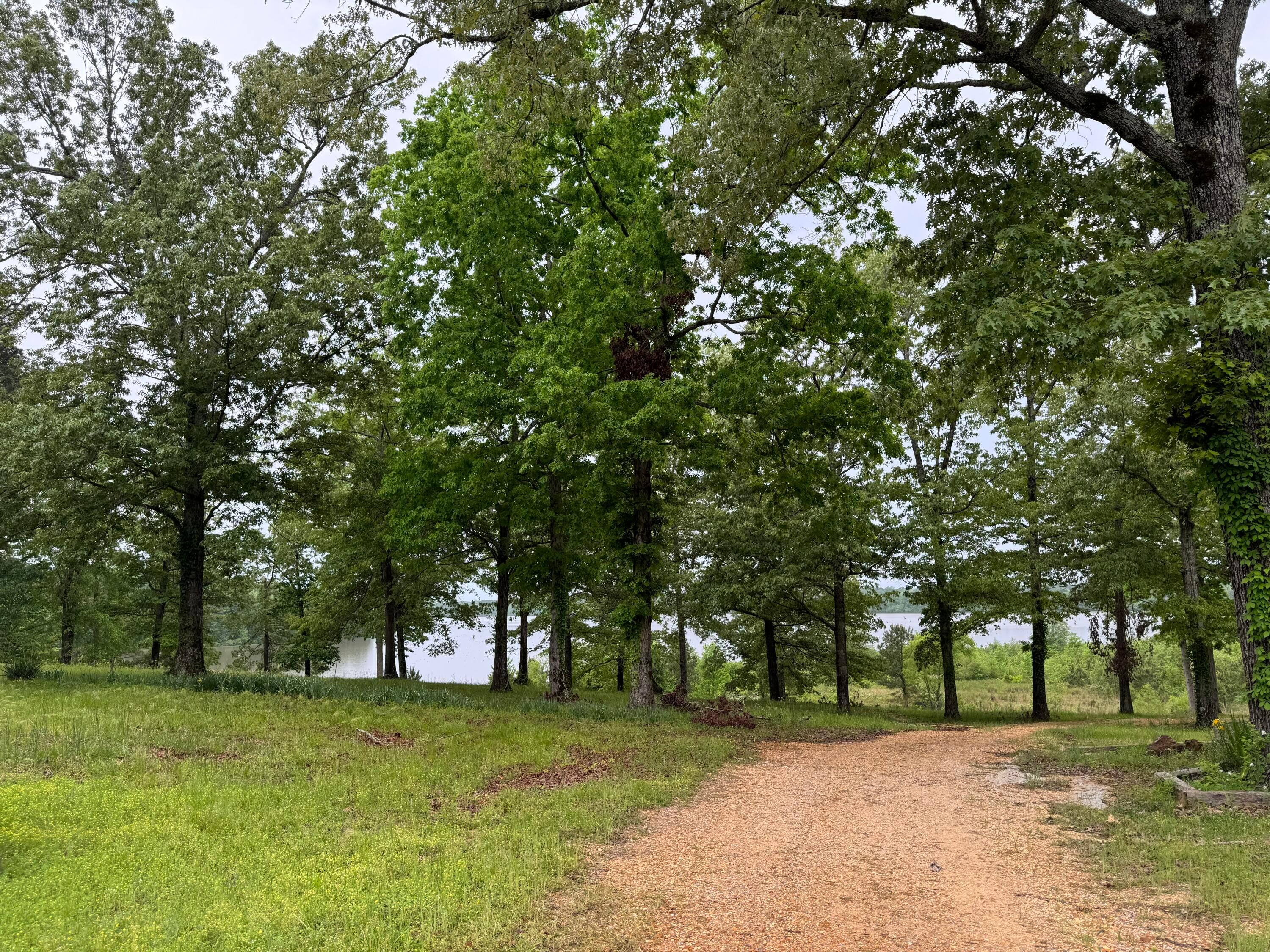 125 Ben Burch Road, Fulton, Mississippi, 38843, United States, 4 Bedrooms Bedrooms, ,4 BathroomsBathrooms,Residential,For Sale,125 Ben Burch Road,1520254