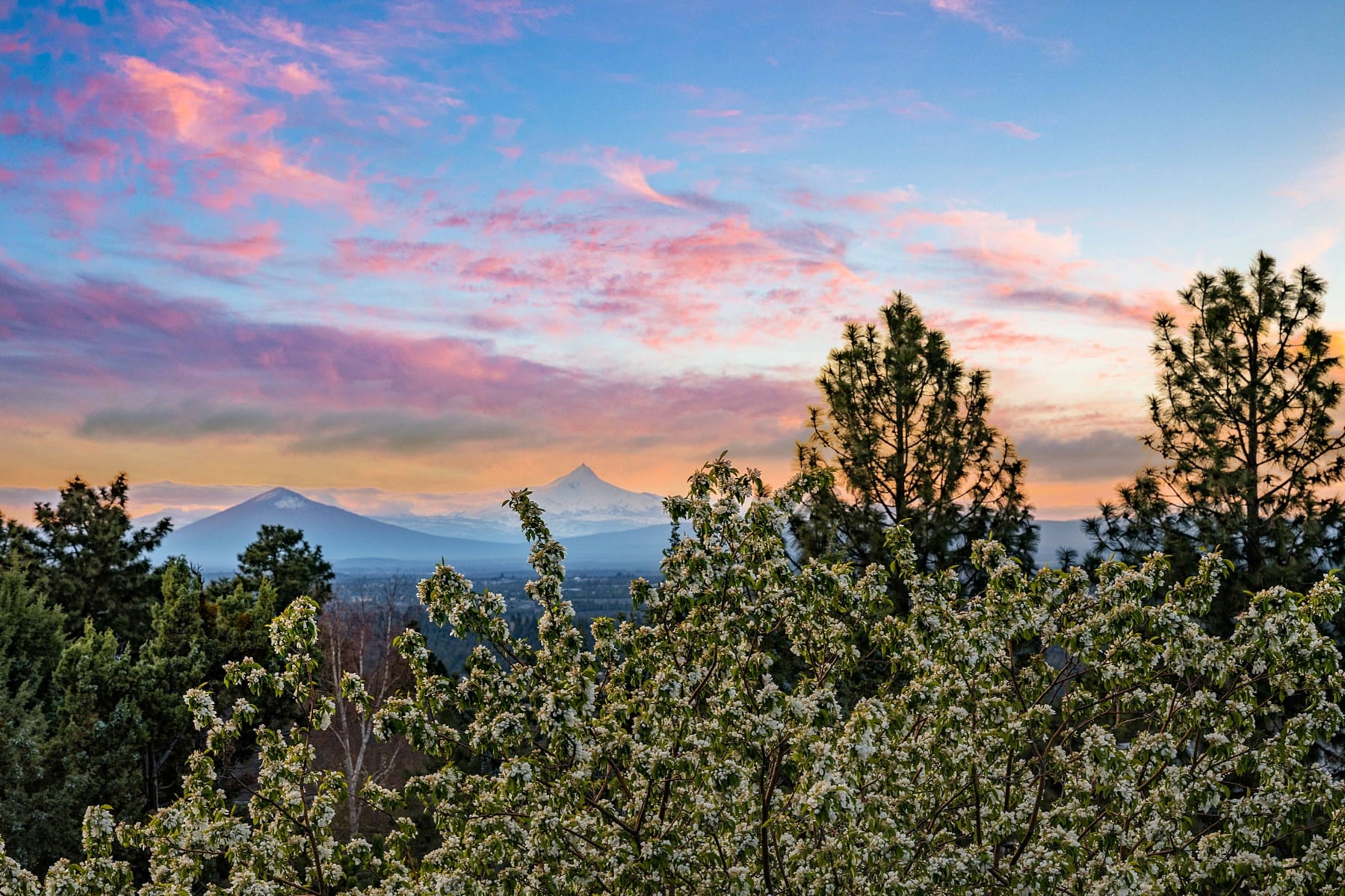  1265 NW Remarkable Drive Bend, OR 97703 - 物件實景