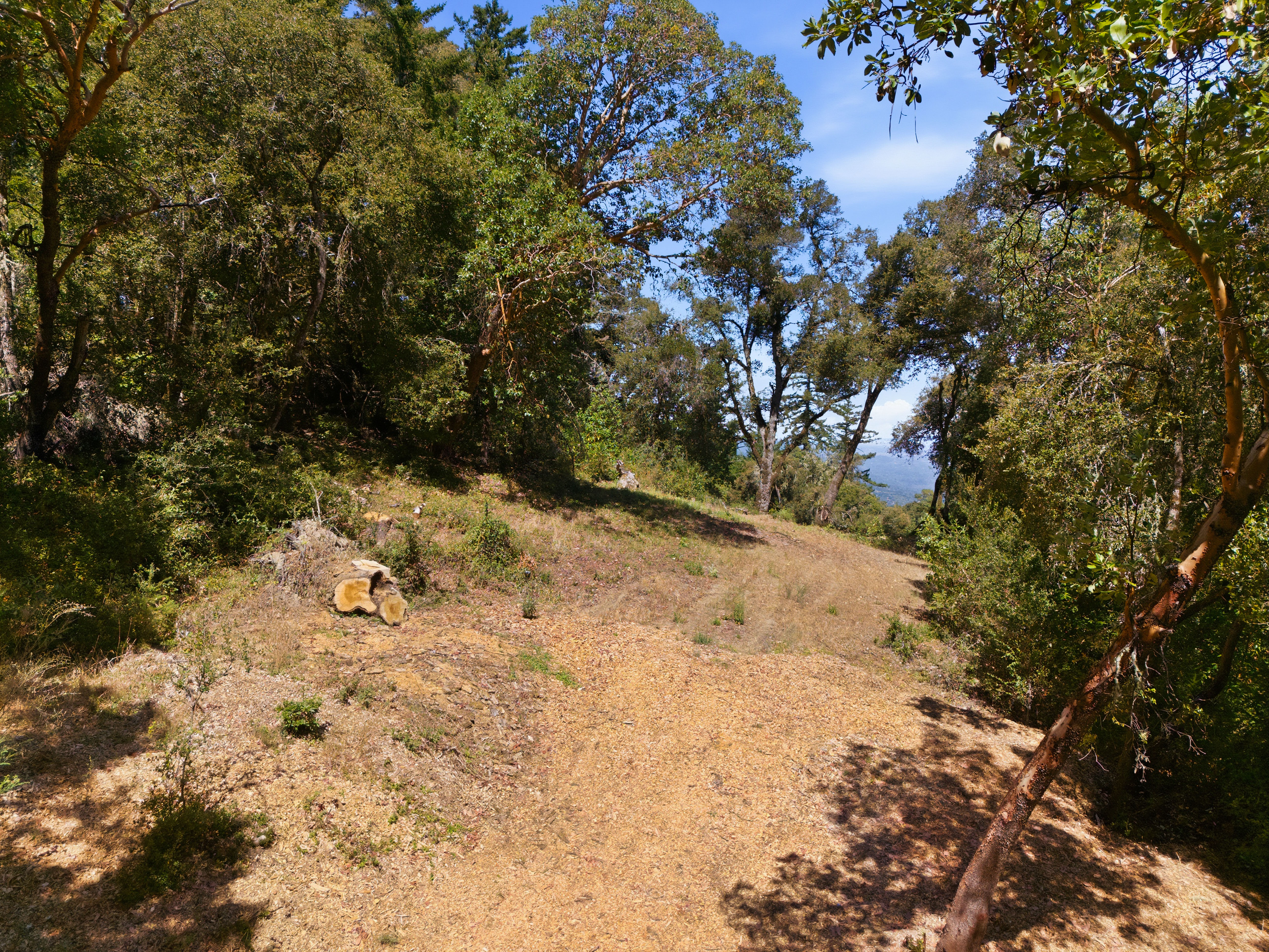  Exceptional Five-Acre Estate Opportunity with Bay Area Views - 物件實景