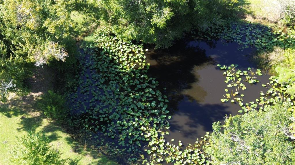 Punta Gorda, Florida, 33982, United States, 3 Bedrooms Bedrooms, ,2 BathroomsBathrooms,Residential,For Sale,1968762