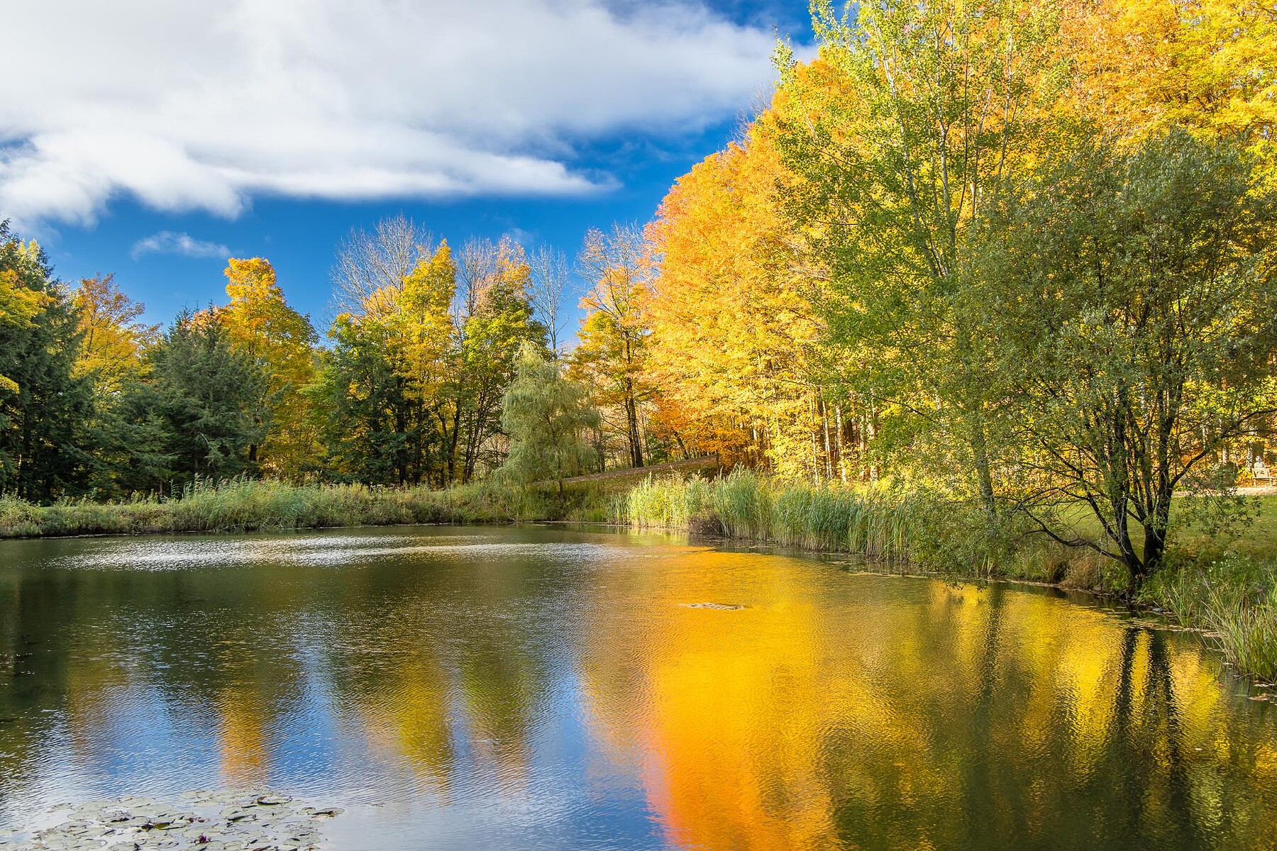  Bromont, Eastern Townships - 物件實景