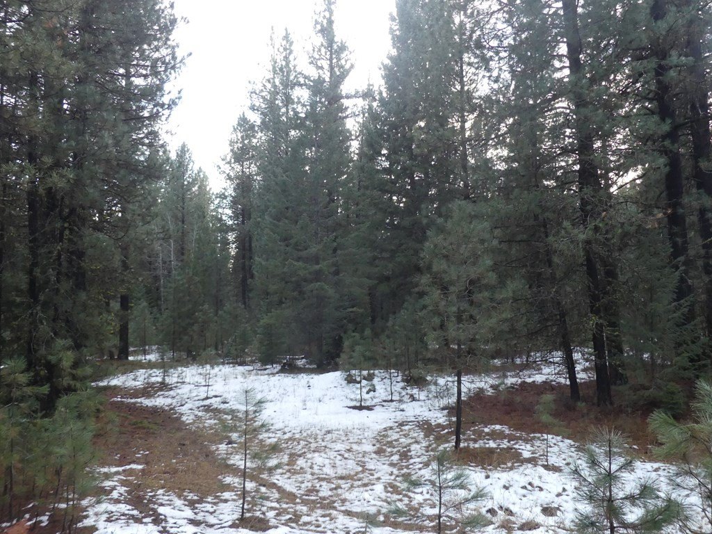 New Meadows, Idaho, 83654, United States, ,Land,For Sale,2005639