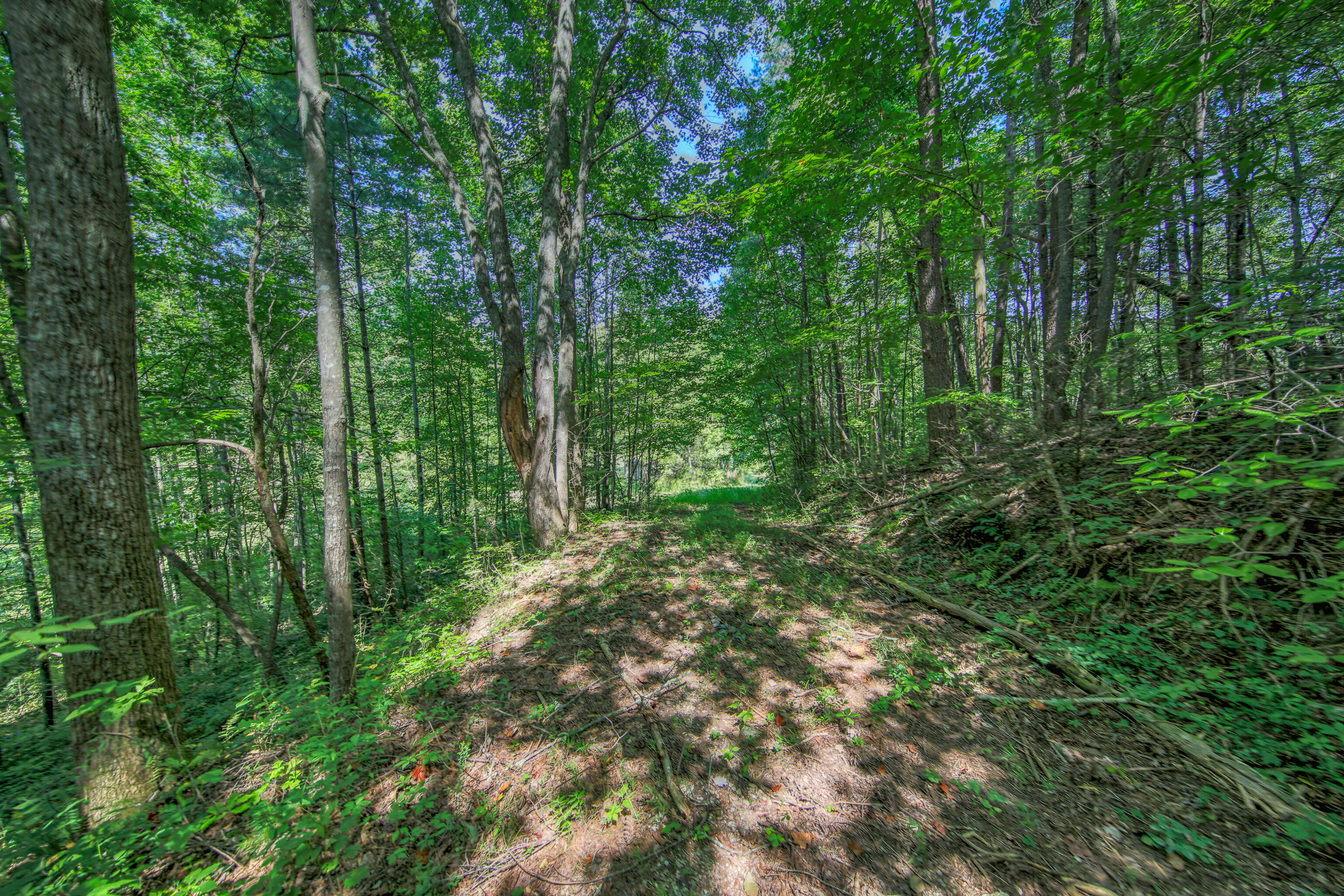  Belcher Loop, Tellico Plains, TN 37385 - 物件實景