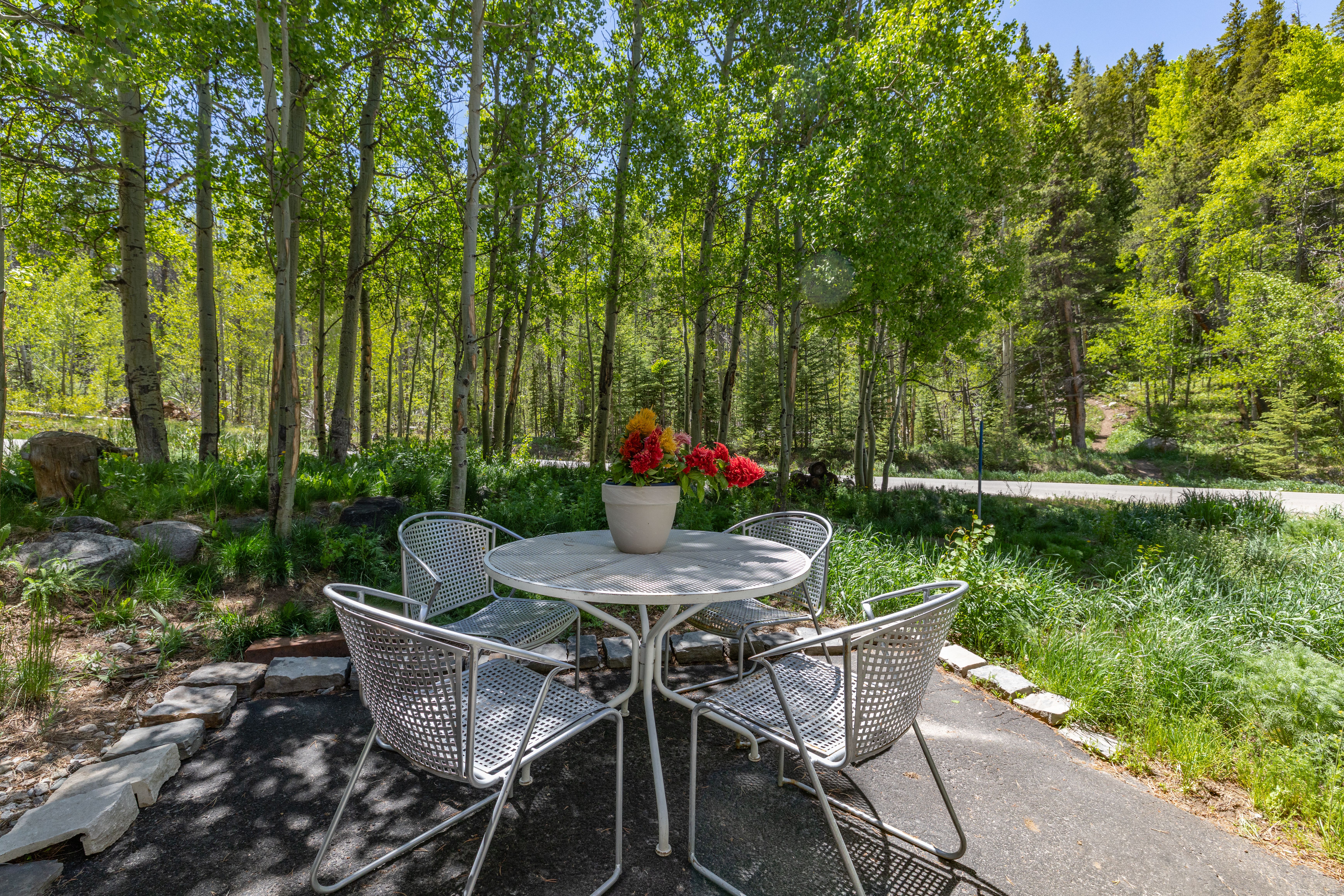  87 Flintstone Lane, Breckenridge, CO, 80424 - 物件實景