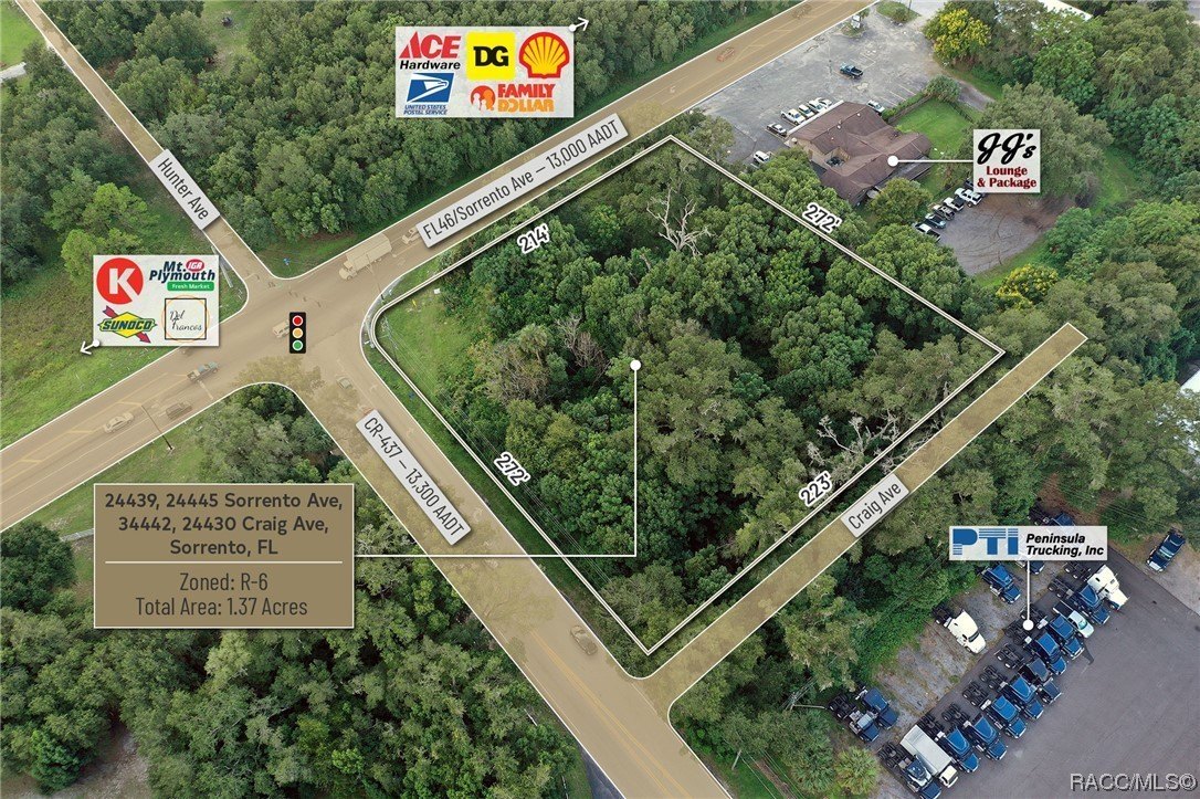 24439 Sorrento Avenue, Mount Dora, Florida, 32776, United States, ,Residential,For Sale,24439 Sorrento Avenue,1348352