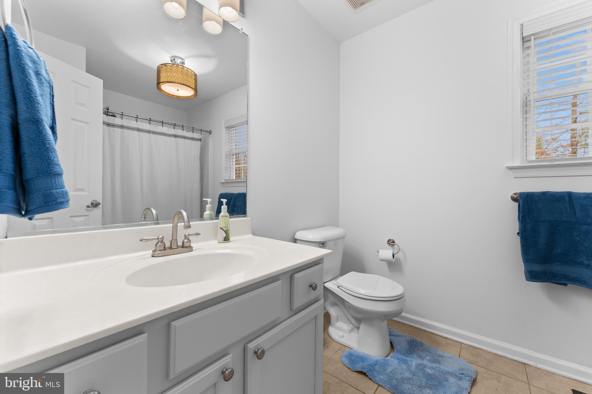 Locust Dale, Virginia, 22948, United States, 3 Bedrooms Bedrooms, ,4 BathroomsBathrooms,Residential,For Sale,1996627