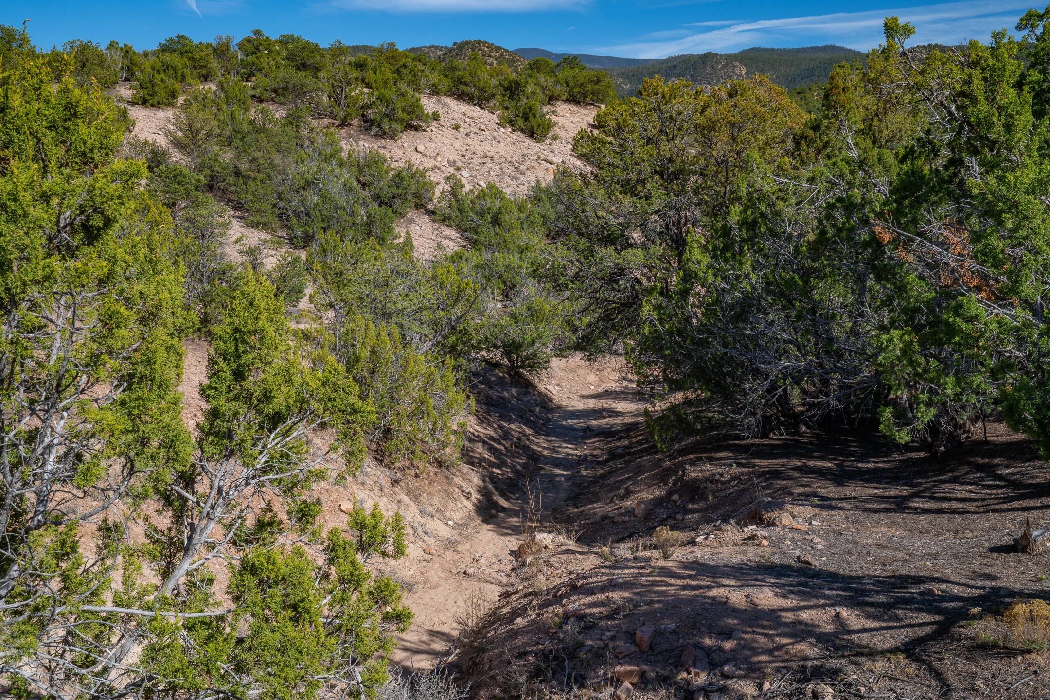  3.5 Acre Lot Camino Del Canon - 物件實景