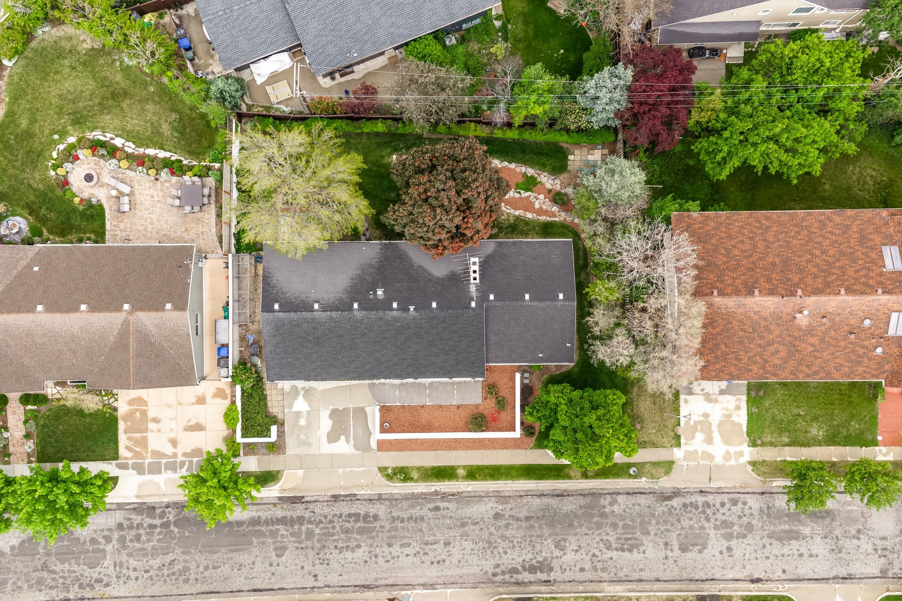  Elegant Contemporary Rambler in Sought After Neighborhood - 物件實景