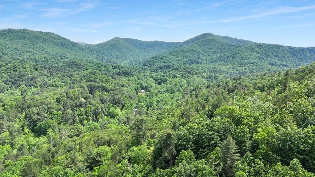Blairsville, Georgia, 30512, United States, ,Residential,For Sale,1824066