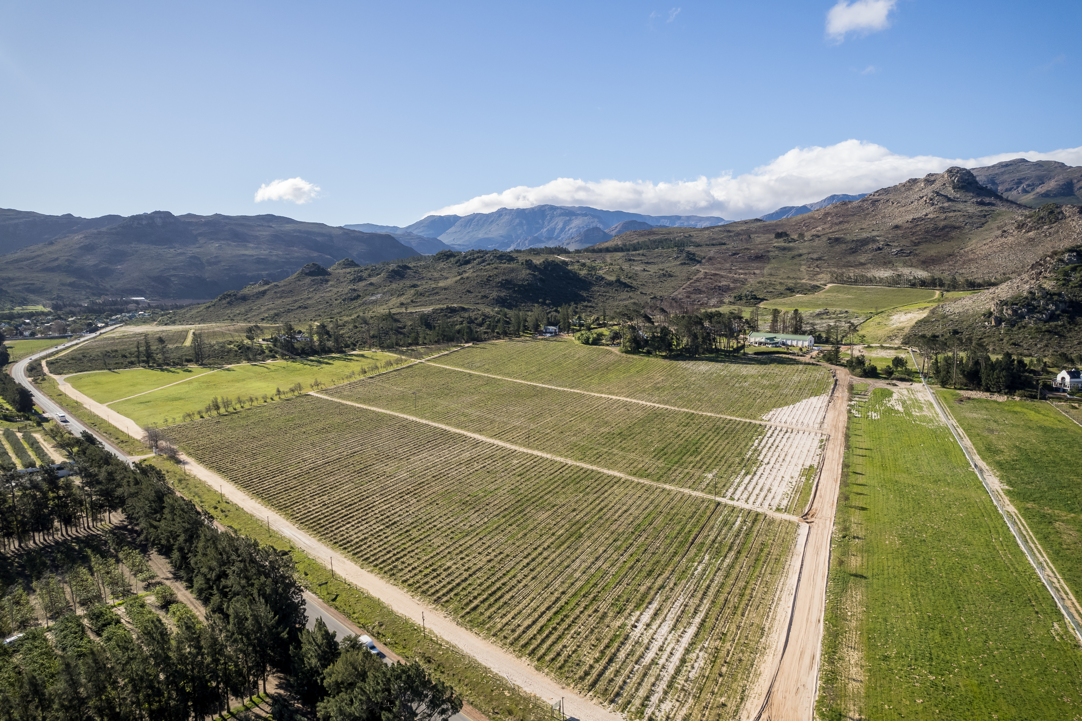  An Exceptional Boutique Wine Estate in the Heart of the Cape Winelands - 物件實景