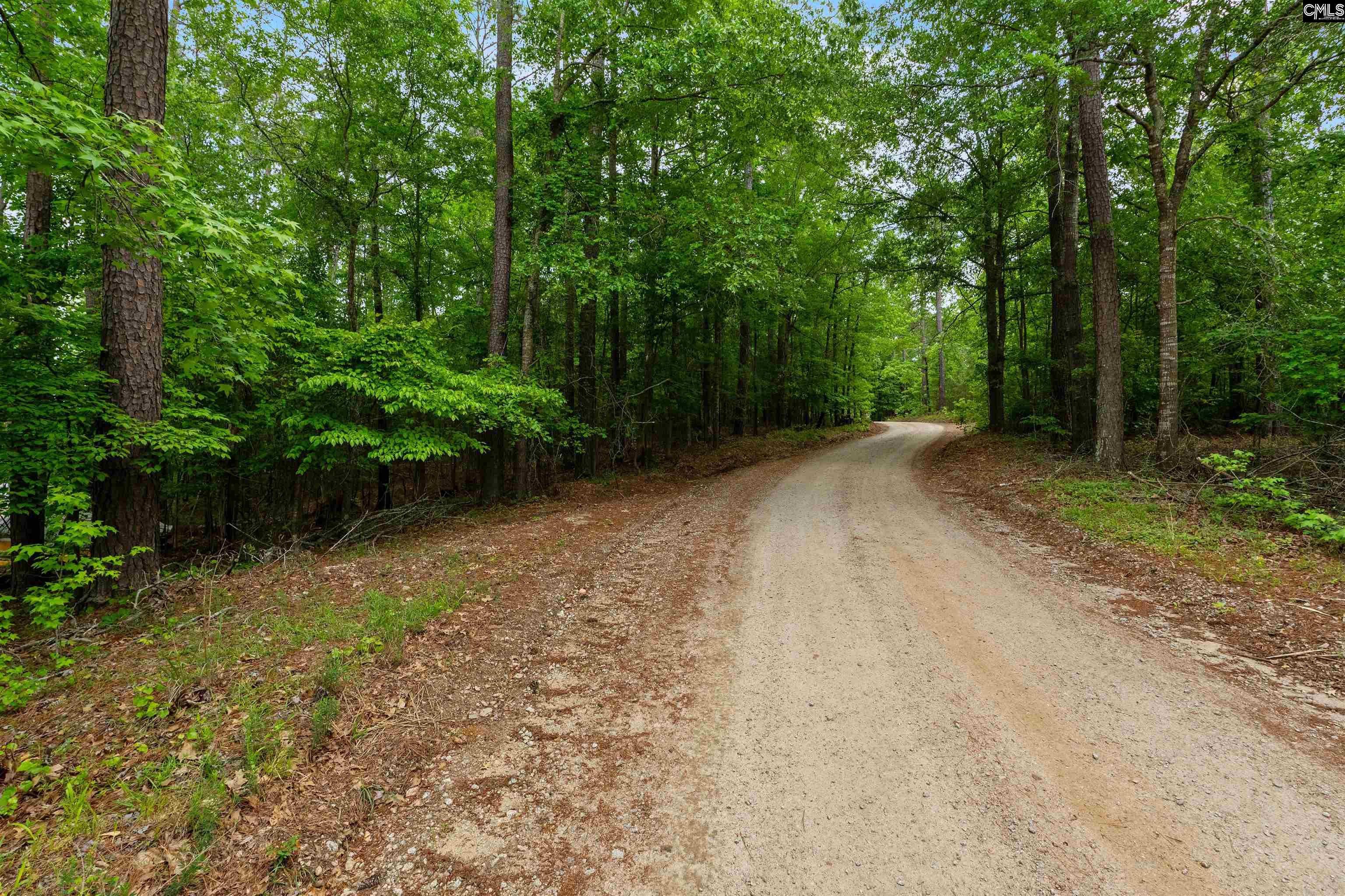  1427- Buck Hill Landing Road  Ridgeway, SC - 物件實景