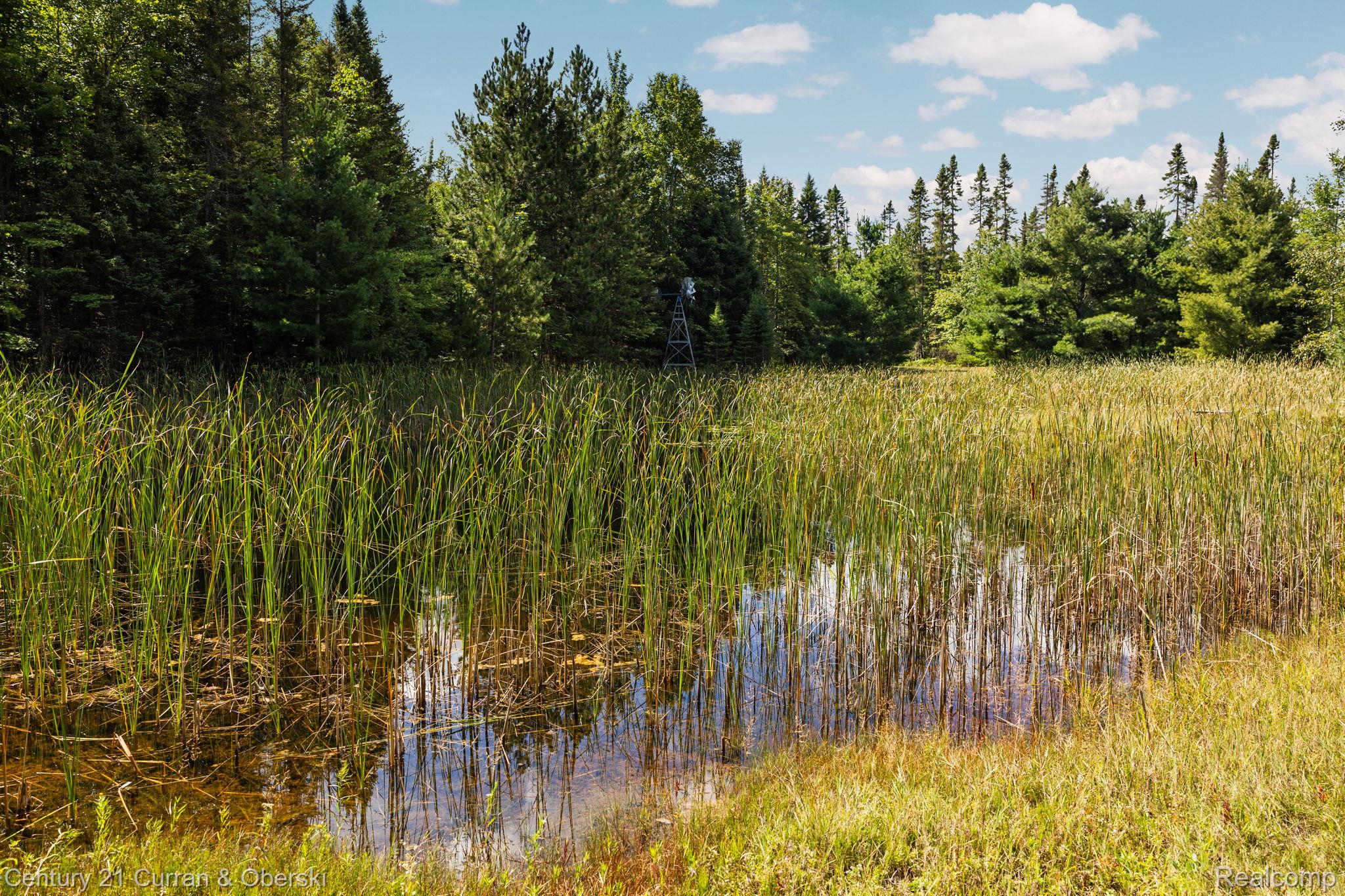 Onaway, Michigan, 49765, United States, 4 Bedrooms Bedrooms, ,2 BathroomsBathrooms,Residential,For Sale,1980098