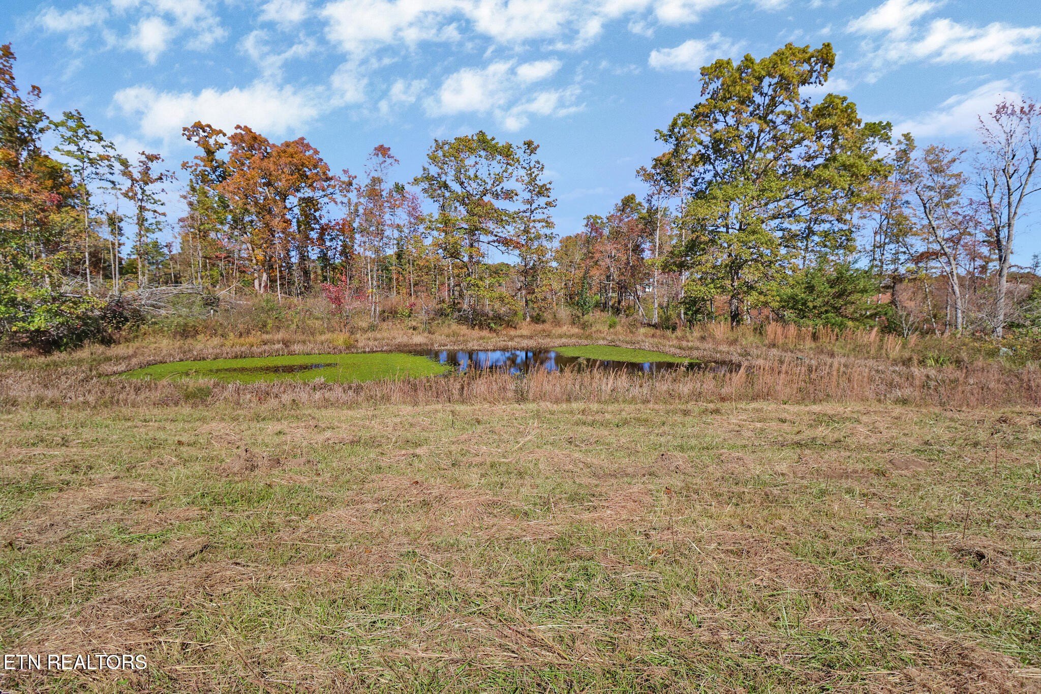 Crossville, Tennessee, 38571, United States, ,Land,For Sale,1974809