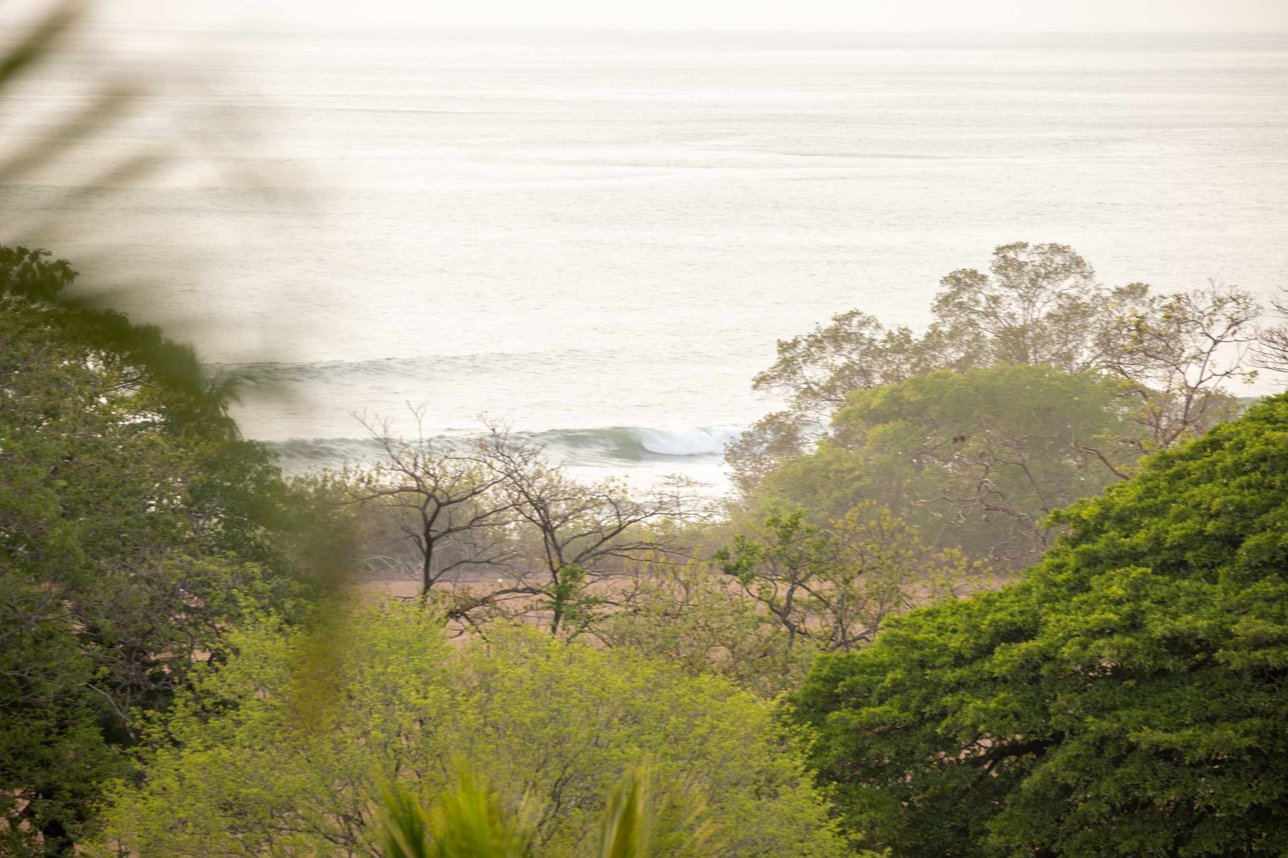 Nosara, Guanacaste, CR, 16 Bedrooms Bedrooms, ,9 BathroomsBathrooms,Residential,For Sale,1587974