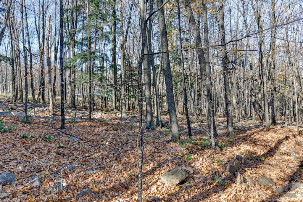 Wausau, Wisconsin, 54401, United States, 3 Bedrooms Bedrooms, ,3 BathroomsBathrooms,Residential,For Sale,1997344