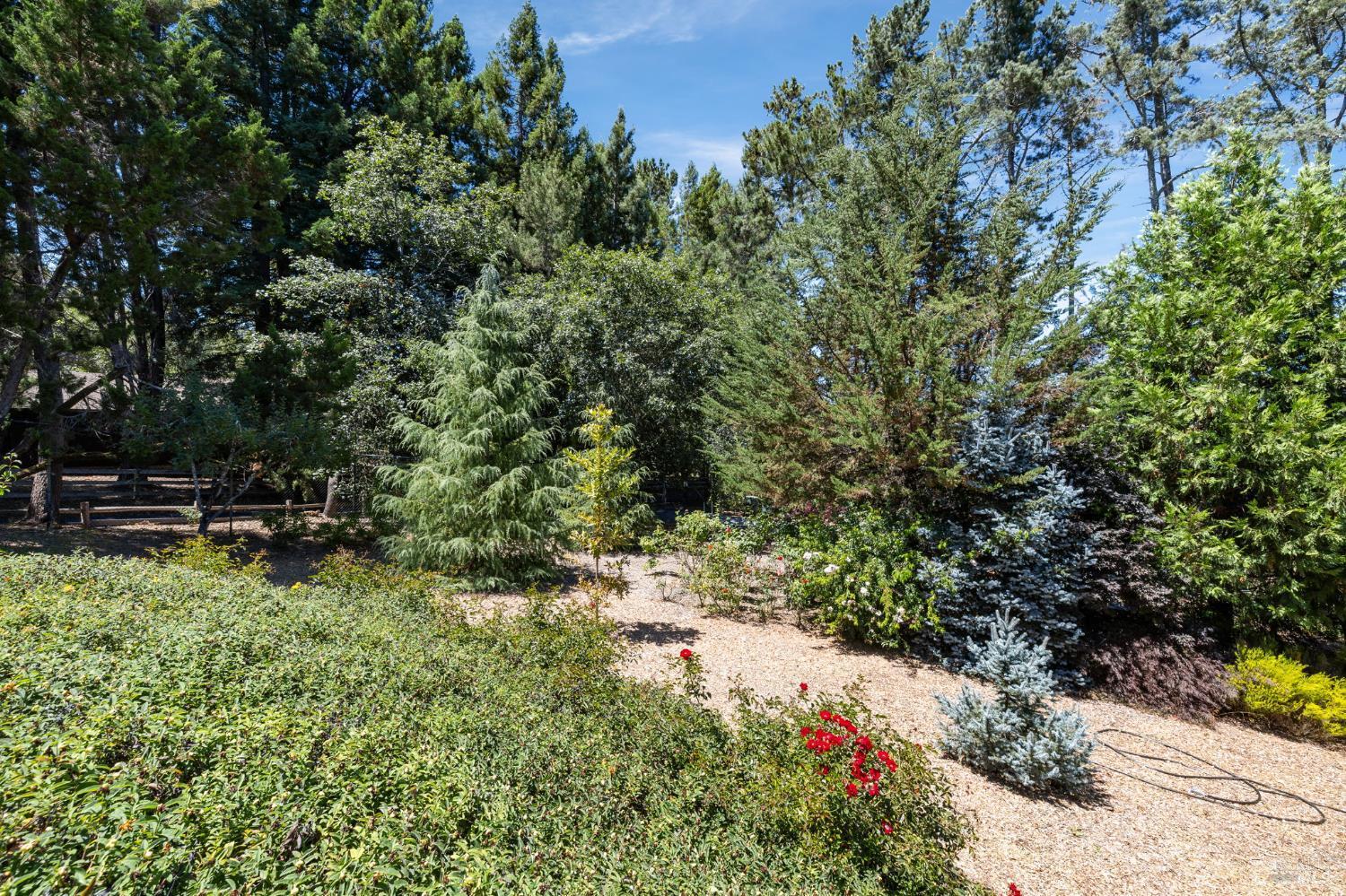 Sebastopol, California, 95472, United States, 4 Bedrooms Bedrooms, ,5 BathroomsBathrooms,Residential,For Sale,1980868